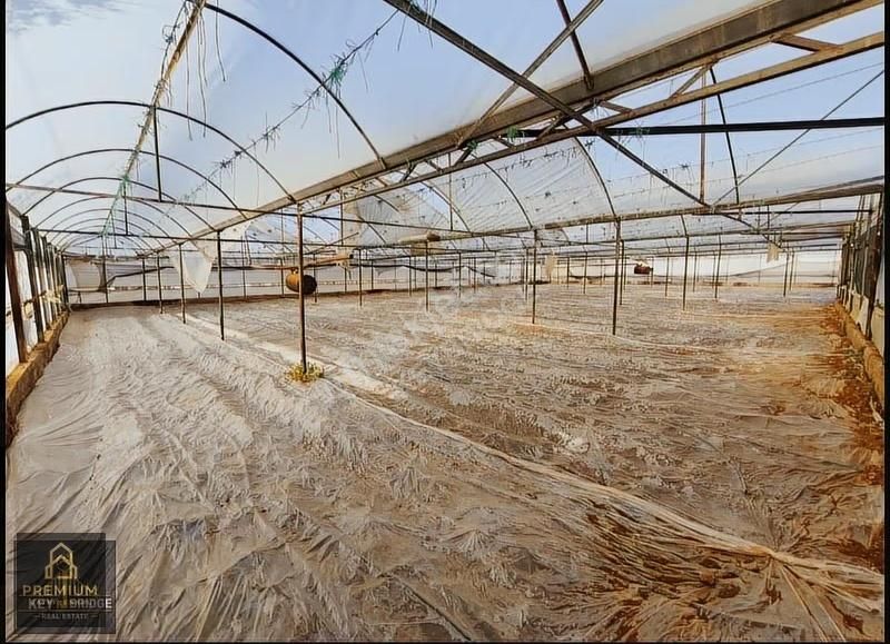 Antalya Kepezde Hazır Sera + Konut | Aktif Üretim, Anında Gelir - Görsel 10