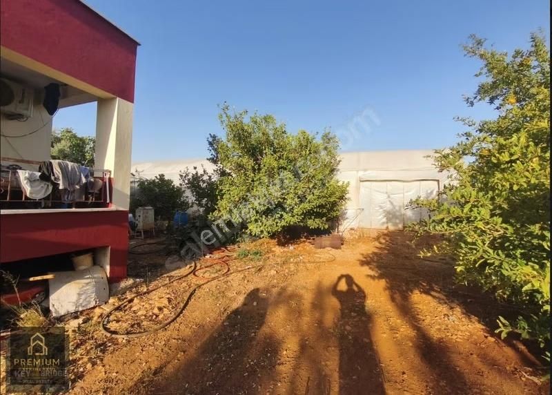 Antalya Kepezde Hazır Sera + Konut | Aktif Üretim, Anında Gelir - Görsel 29