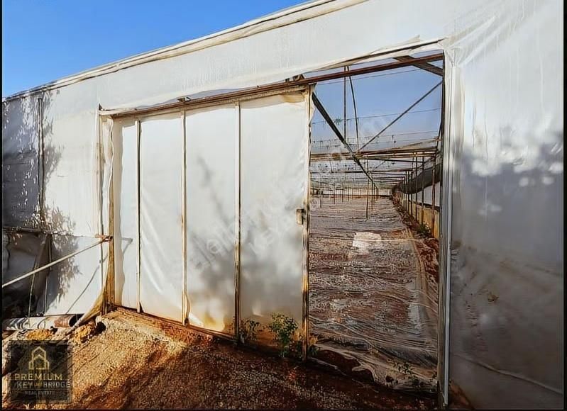 Antalya Kepezde Hazır Sera + Konut | Aktif Üretim, Anında Gelir - Görsel 11