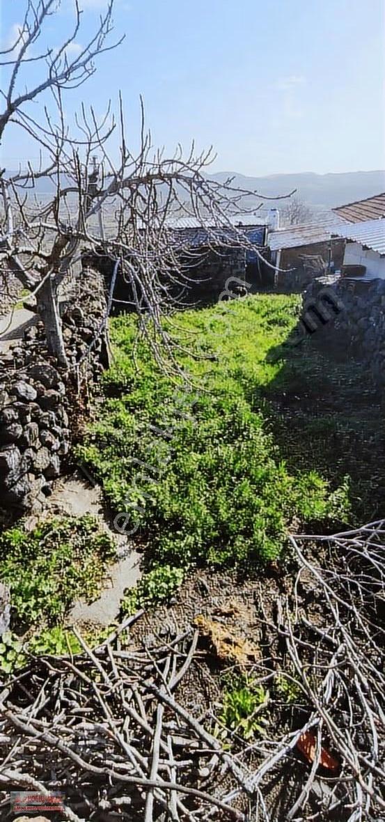 Bilginoğlu Emlaktan Dazyurt Mahallesi'nde Avlulu Ev - Görsel 8