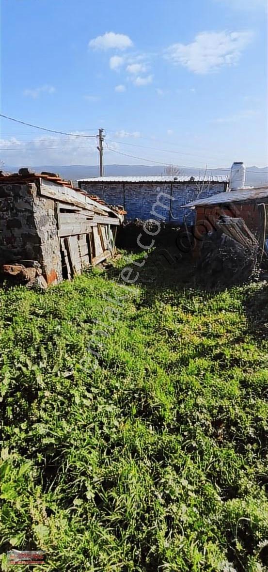 Bilginoğlu Emlaktan Dazyurt Mahallesi'nde Avlulu Ev