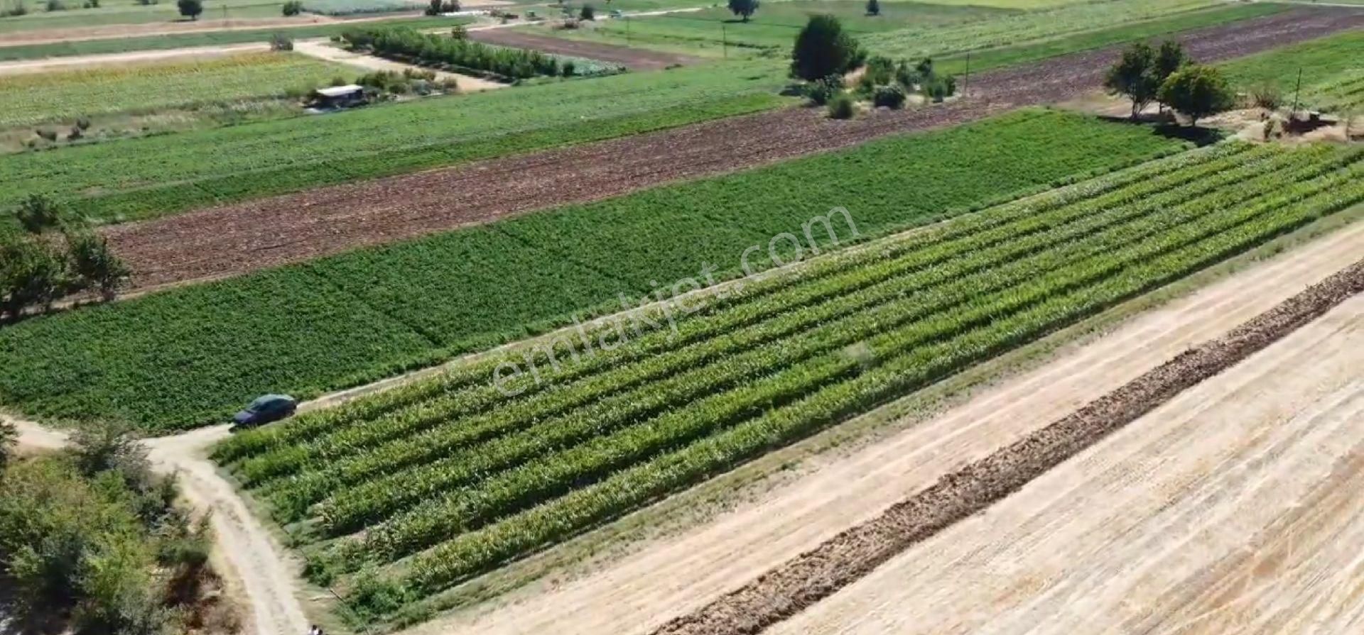 Bursa Yenişehir De 4.905 M² Yola Cephe Tarla - Görsel 9