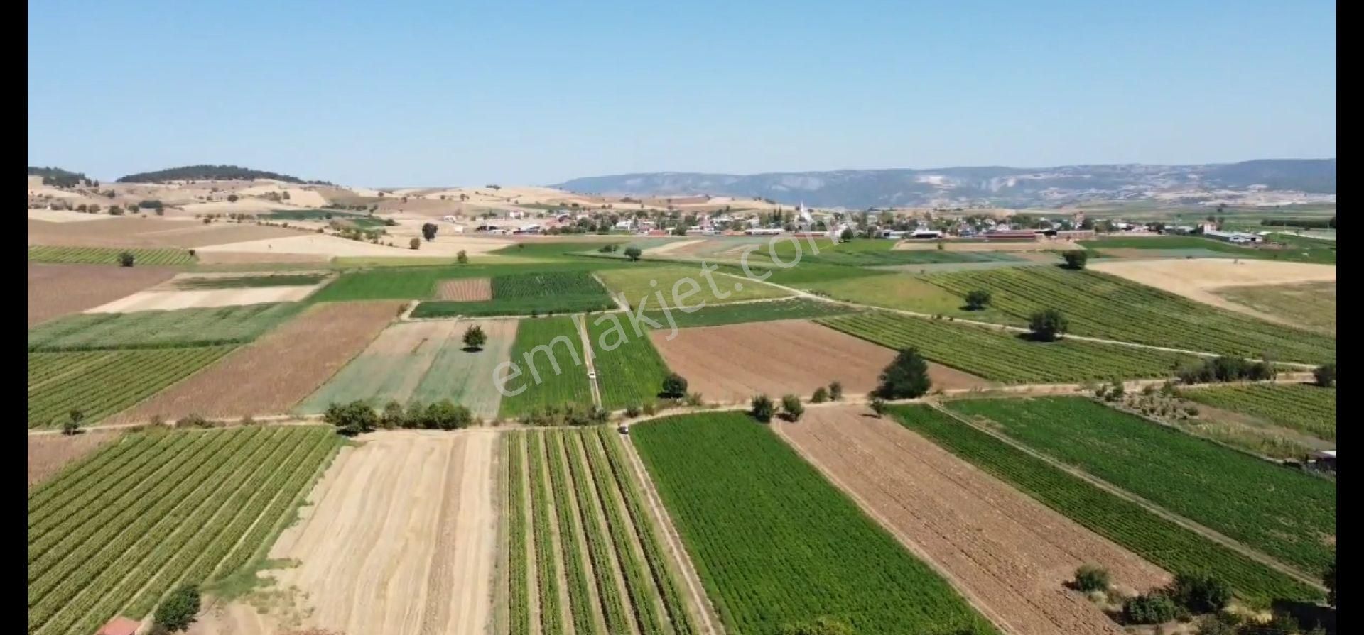 Bursa Yenişehir De 4.905 M² Yola Cephe Tarla - Görsel 8