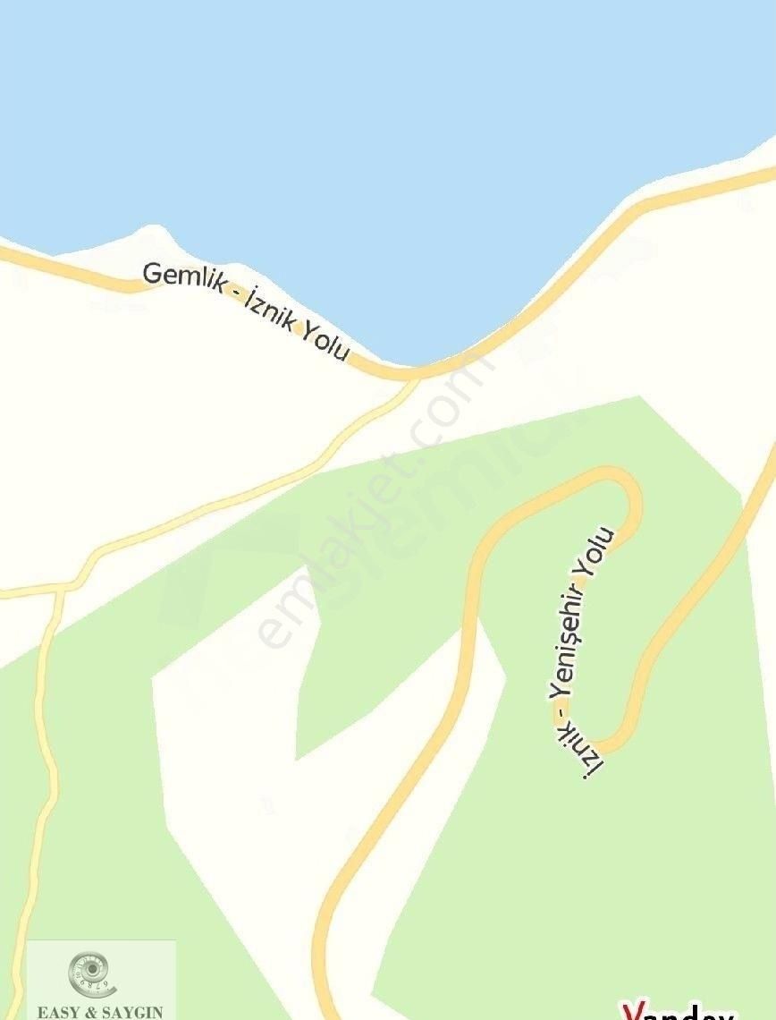 İznik Derbent Te / Göl Manzaralı Zeytinlik - Görsel 2