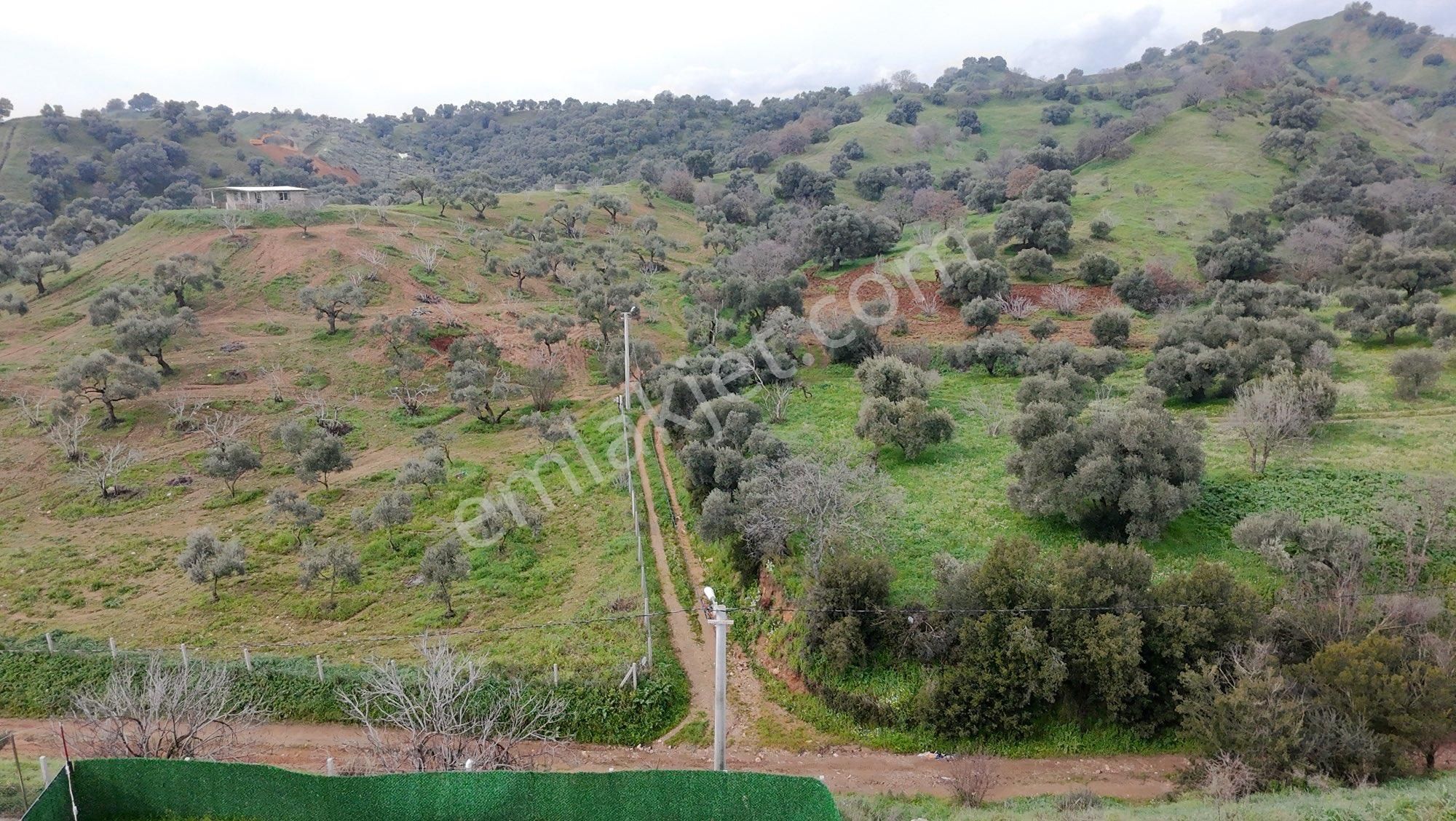 🌿 **nazilli Bozyurt Mahallesi’nde Müstakil - Görsel 24