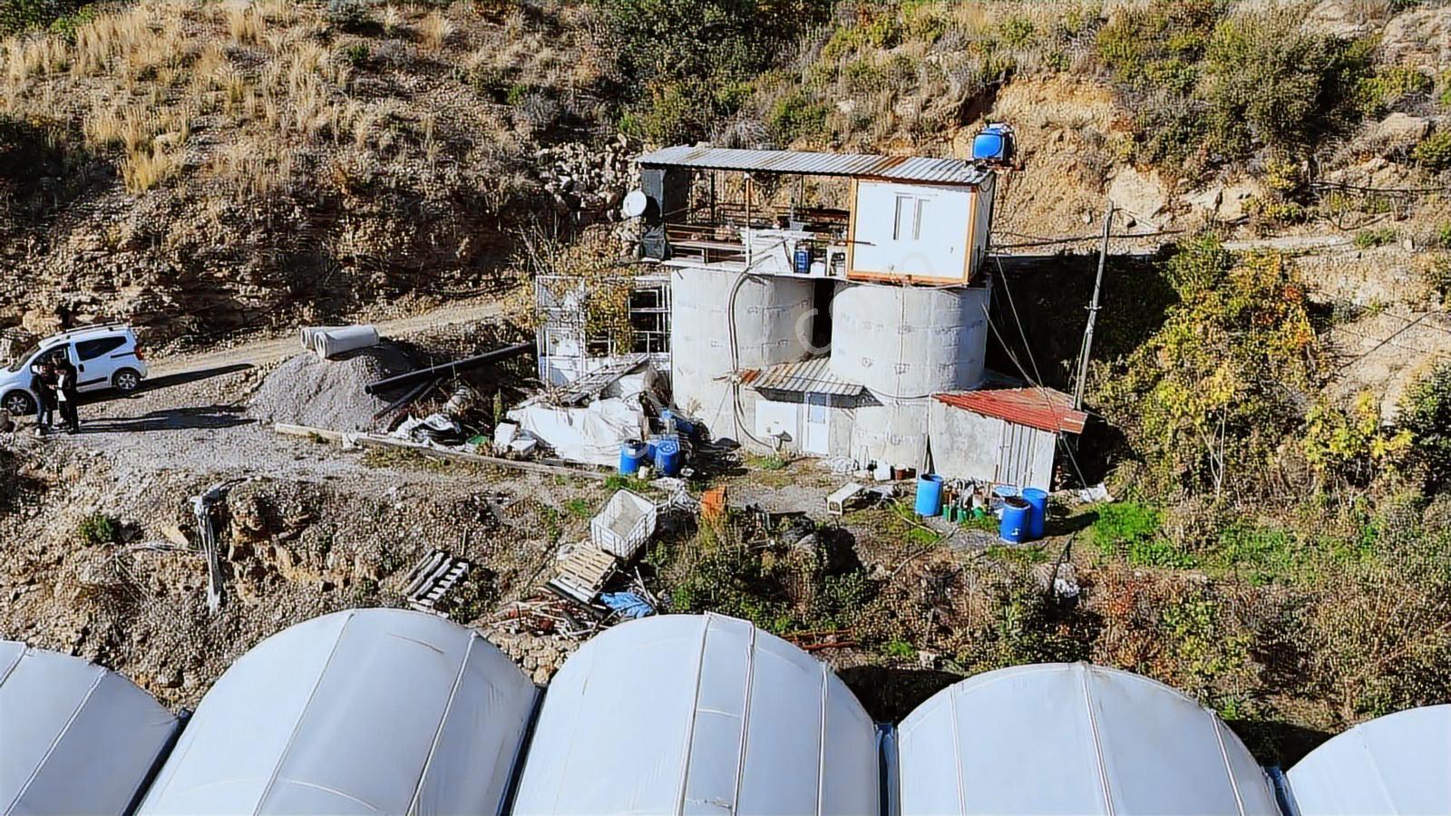 Alanya Güney Mahallesinde Yüksel Gelirli Muz Serası - Görsel 16