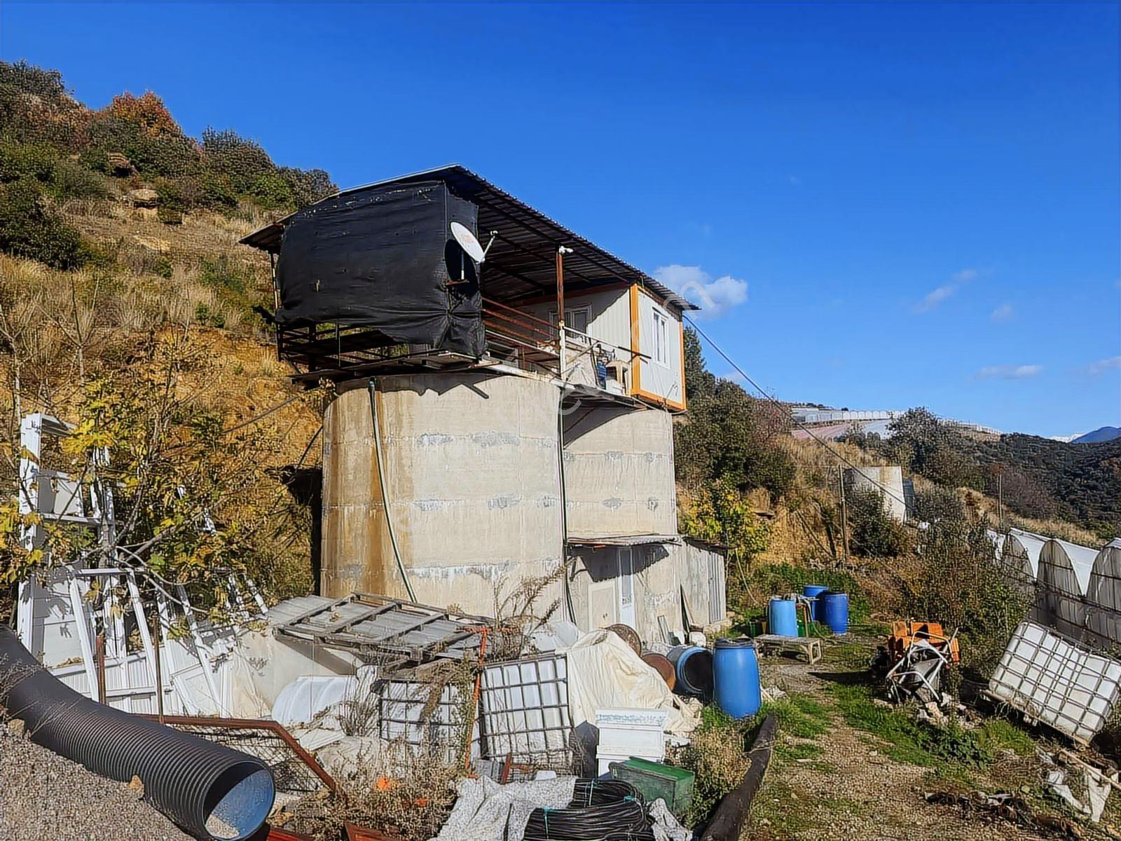 Alanya Güney Mahallesinde Yüksel Gelirli Muz Serası - Görsel 19