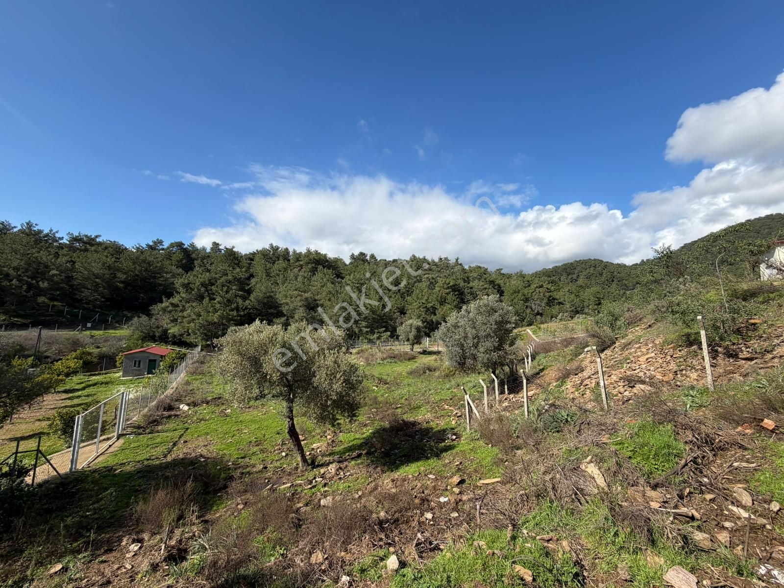 Özderenın Değerlenen Bölgesınde 1670 M² Yatırım Fırsatı - Görsel 2