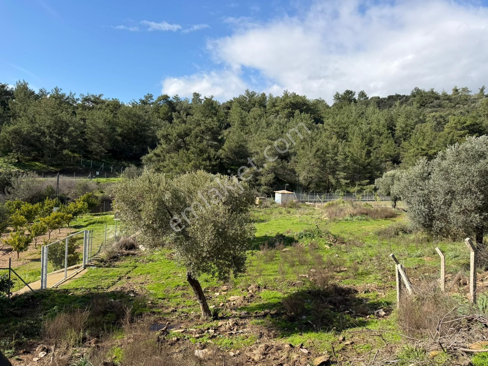 Özderenın Değerlenen Bölgesınde 1670 M² Yatırım Fırsatı