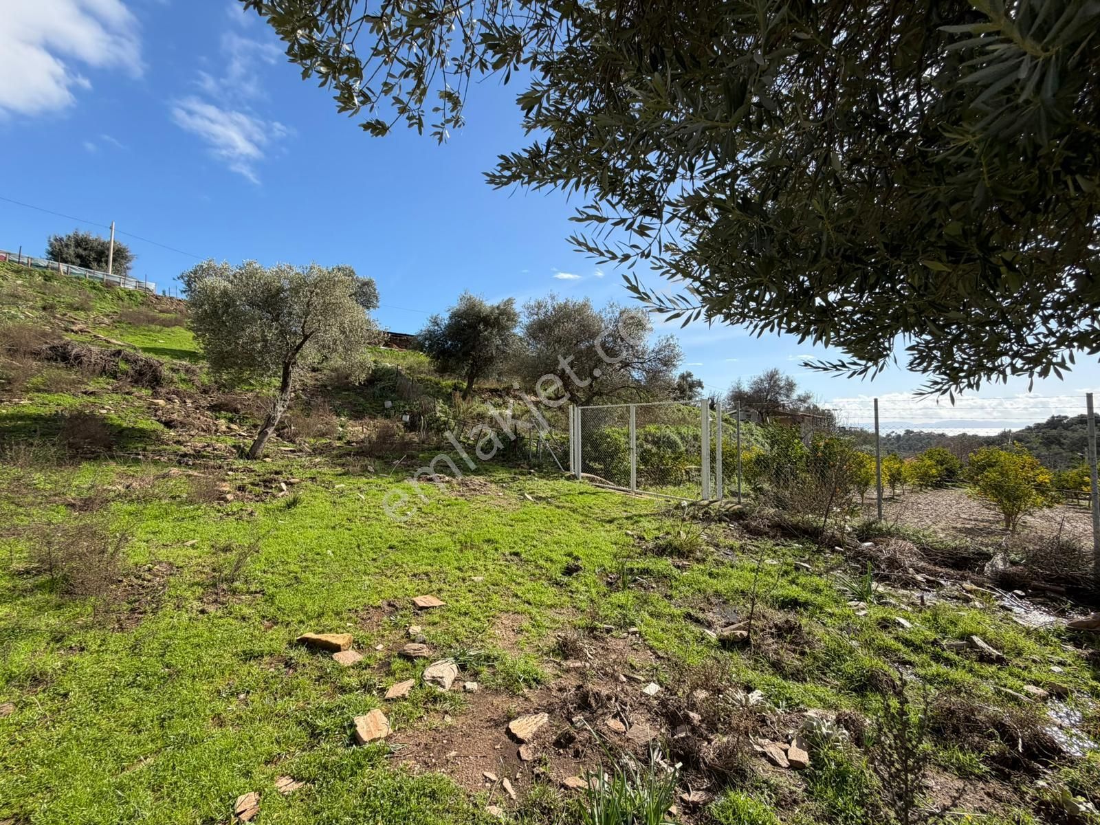 Özderenın Değerlenen Bölgesınde 1670 M² Yatırım Fırsatı - Görsel 11