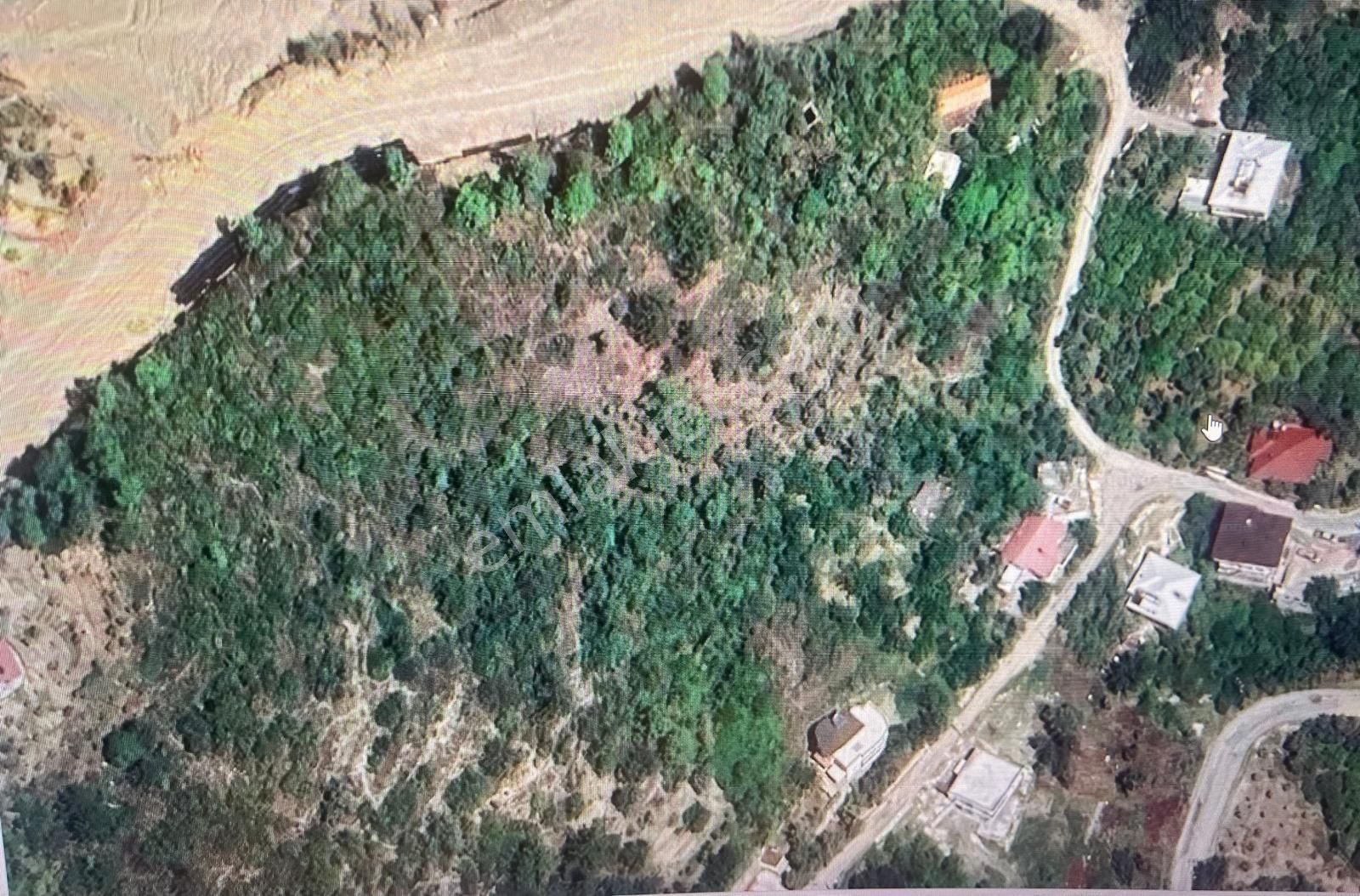 Alanya Değirmendere Mah.çatak Mevkii Satılık 1930 M2 Tarla