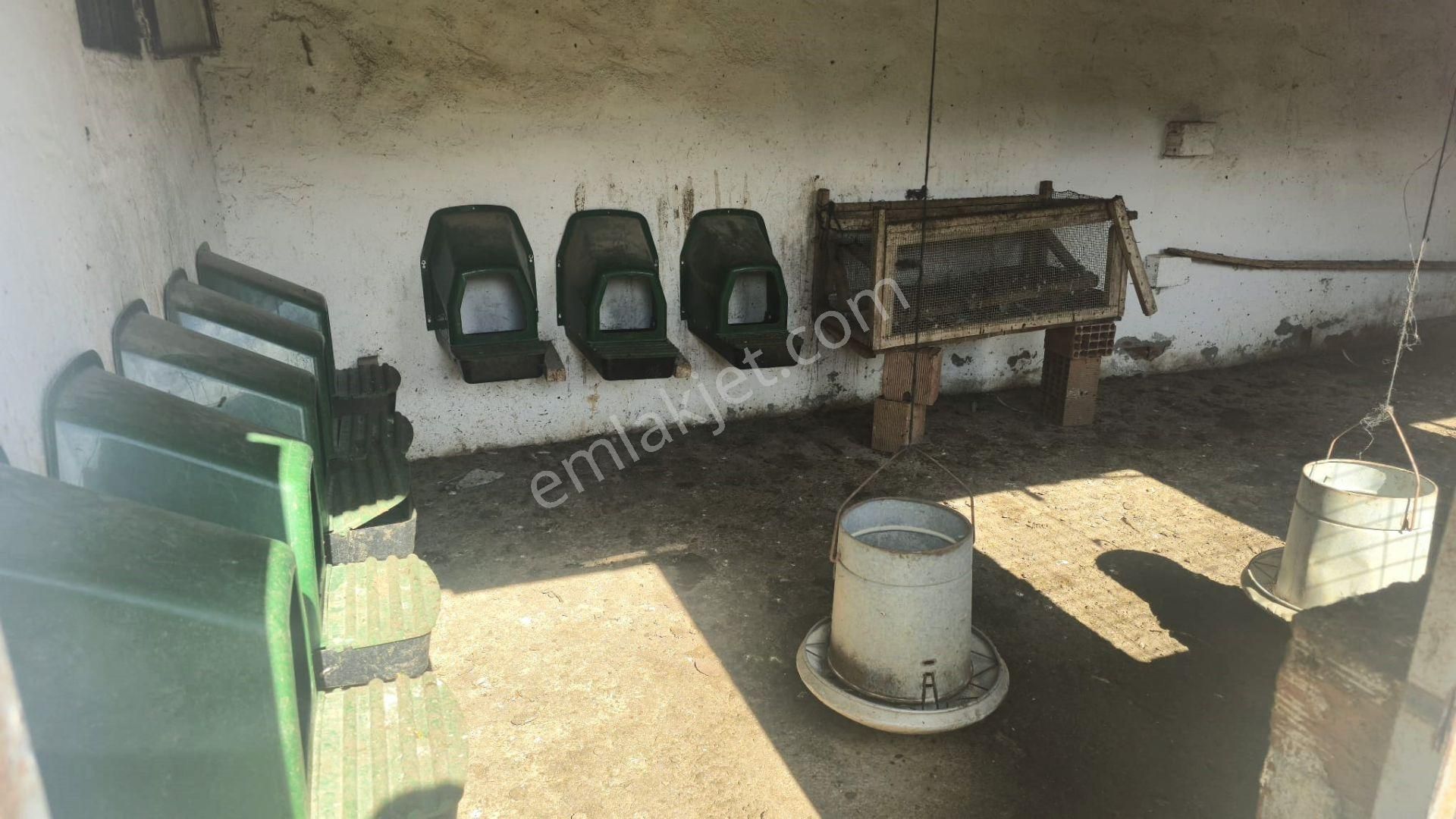 Kemalpaşa Ören’de Satılık Besi Damlı Çiftlik Evi - Görsel 12