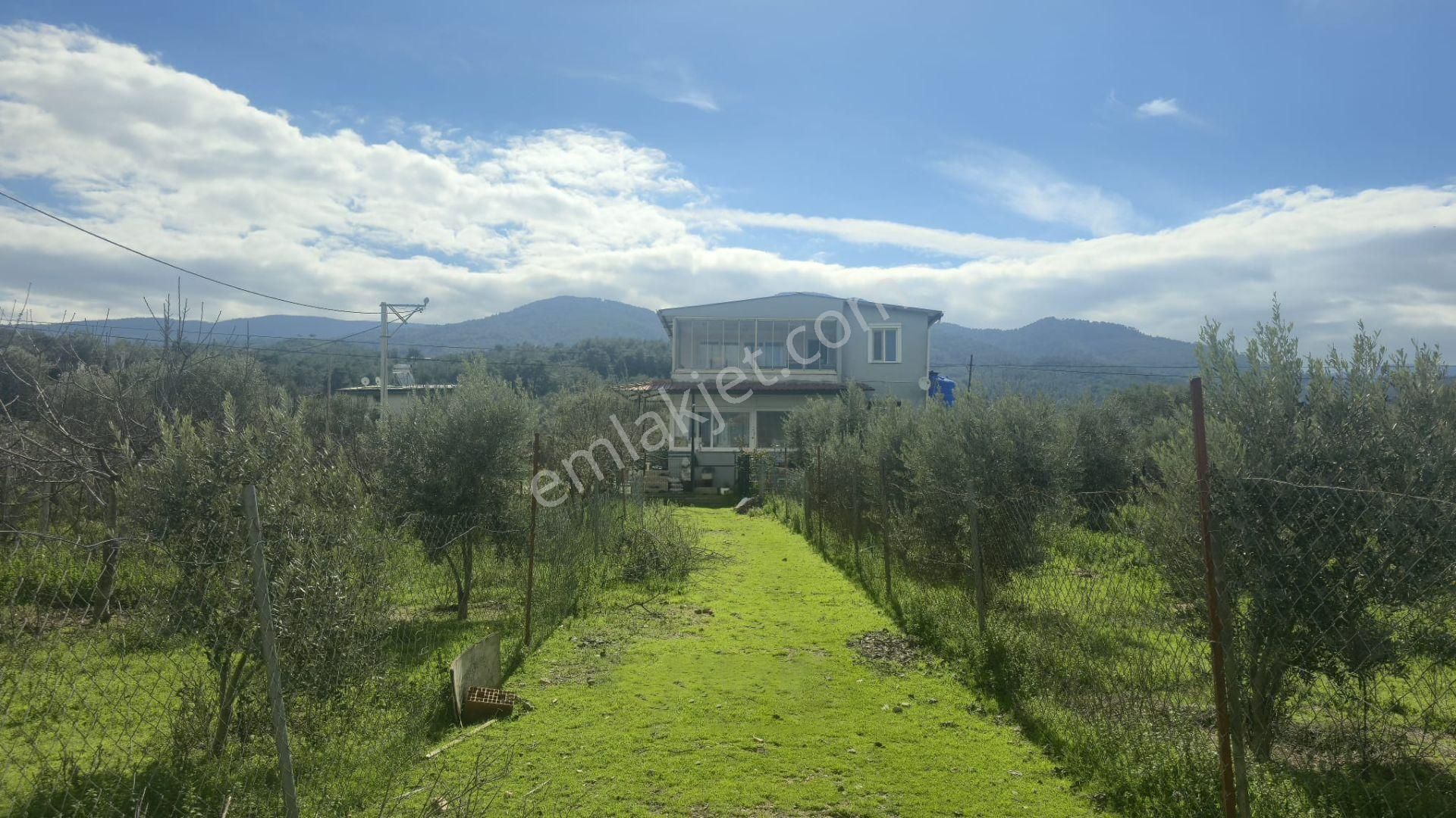 Kemalpaşa Ören’de Satılık Besi Damlı Çiftlik Evi