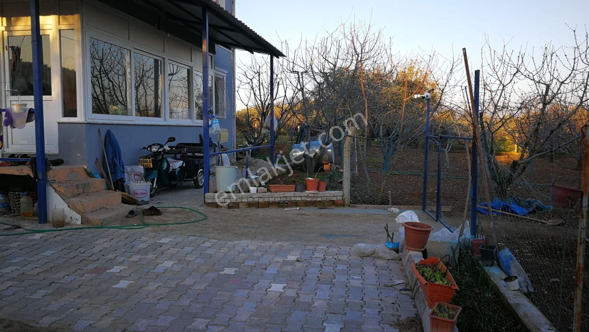 Kemalpaşa Ören’de Satılık Besi Damlı Çiftlik Evi - Görsel 21