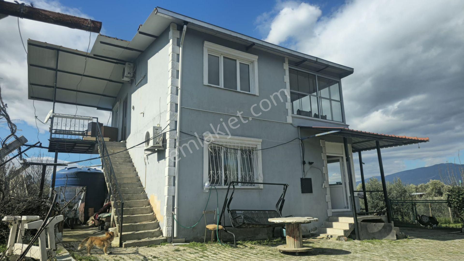 Kemalpaşa Ören’de Satılık Besi Damlı Çiftlik Evi - Görsel 5