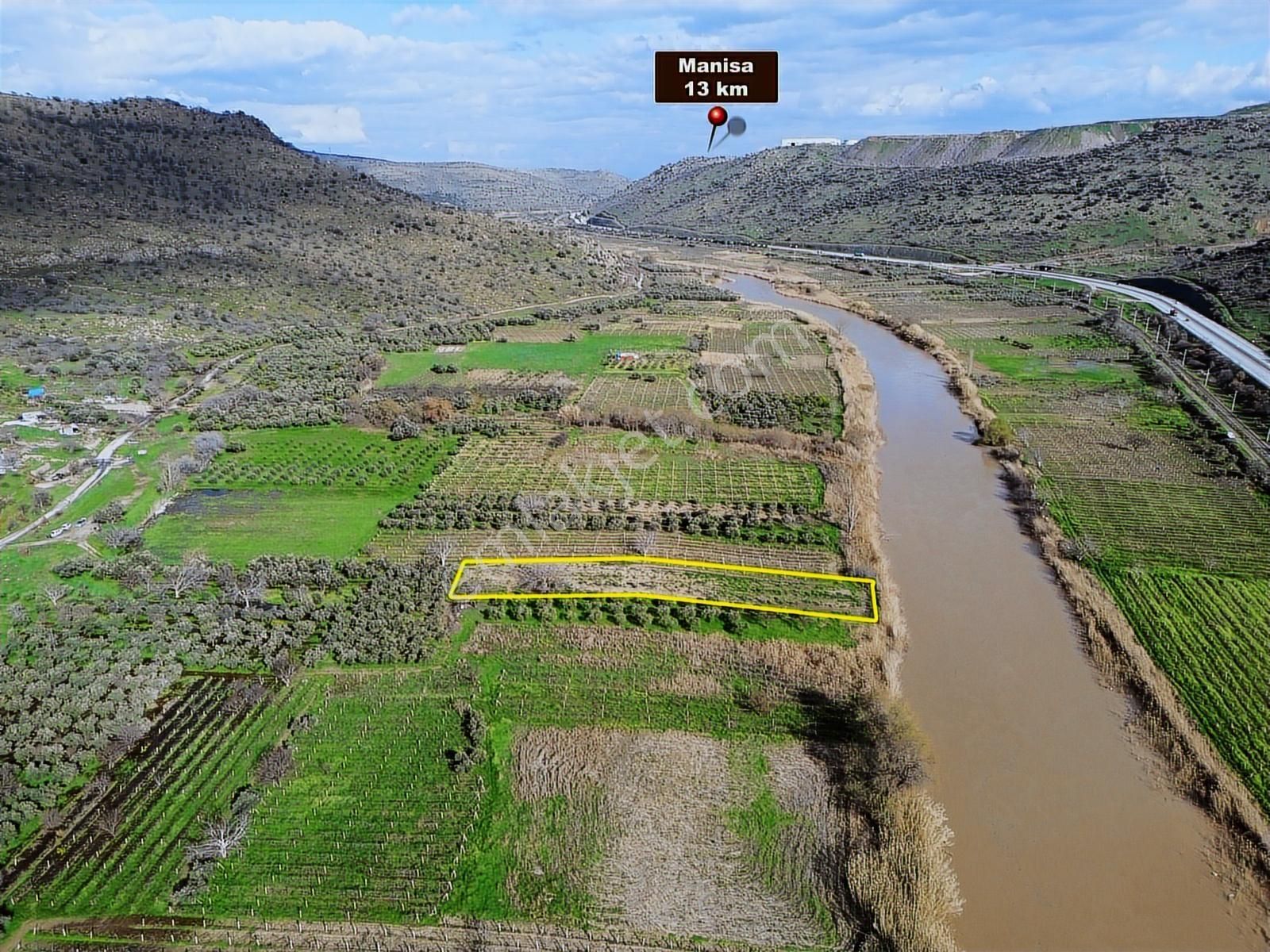 Geniz Kenarında 2.5 Dönüm Kullanımlı Tek Tapu Satılık Zeytinlik - Görsel 2