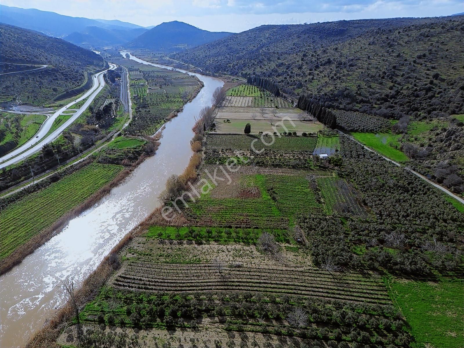 Geniz Kenarında 2.5 Dönüm Kullanımlı Tek Tapu Satılık Zeytinlik - Görsel 4