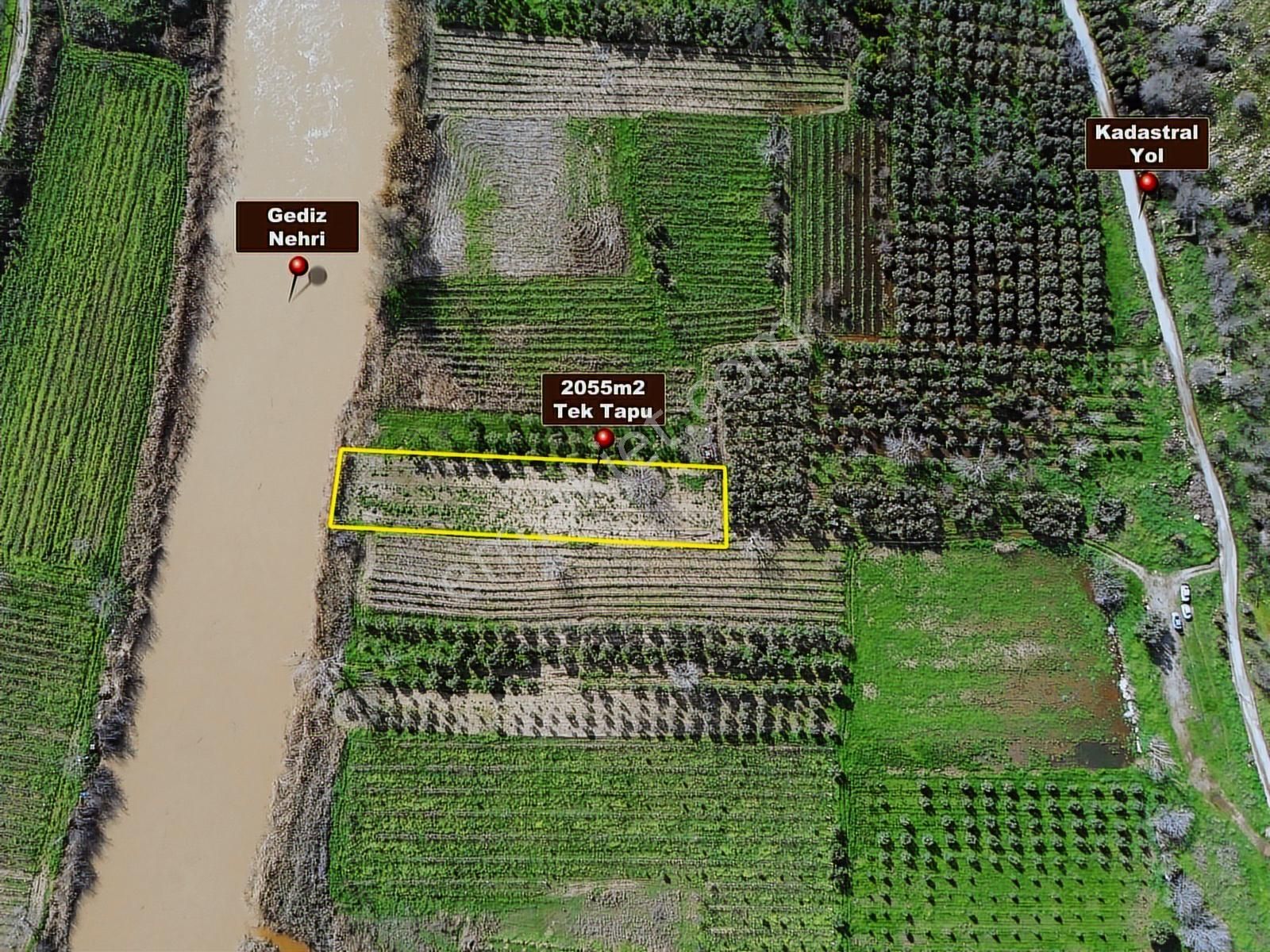 Geniz Kenarında 2.5 Dönüm Kullanımlı Tek Tapu Satılık Zeytinlik - Görsel 29