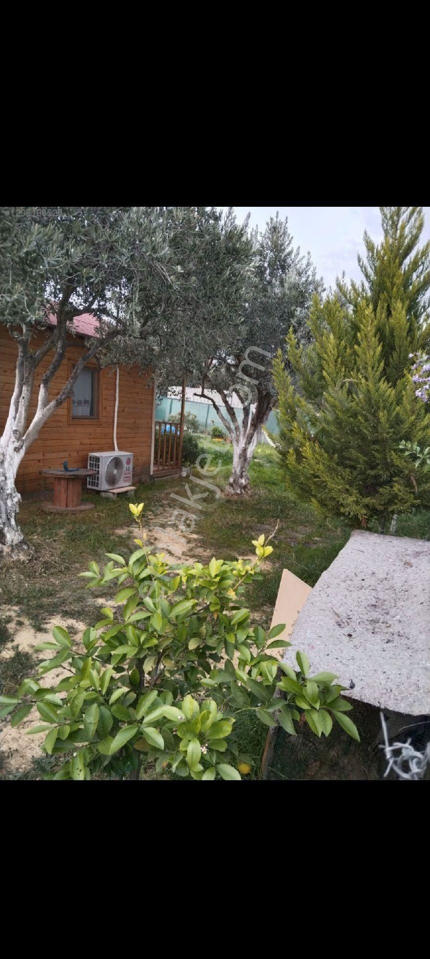 Torbalı Batı Gayrimenkul Den Satılık Zeytinlik Batı Gayrimenkul Den Satılık Hisse Tapulu Tarla - Görsel 5