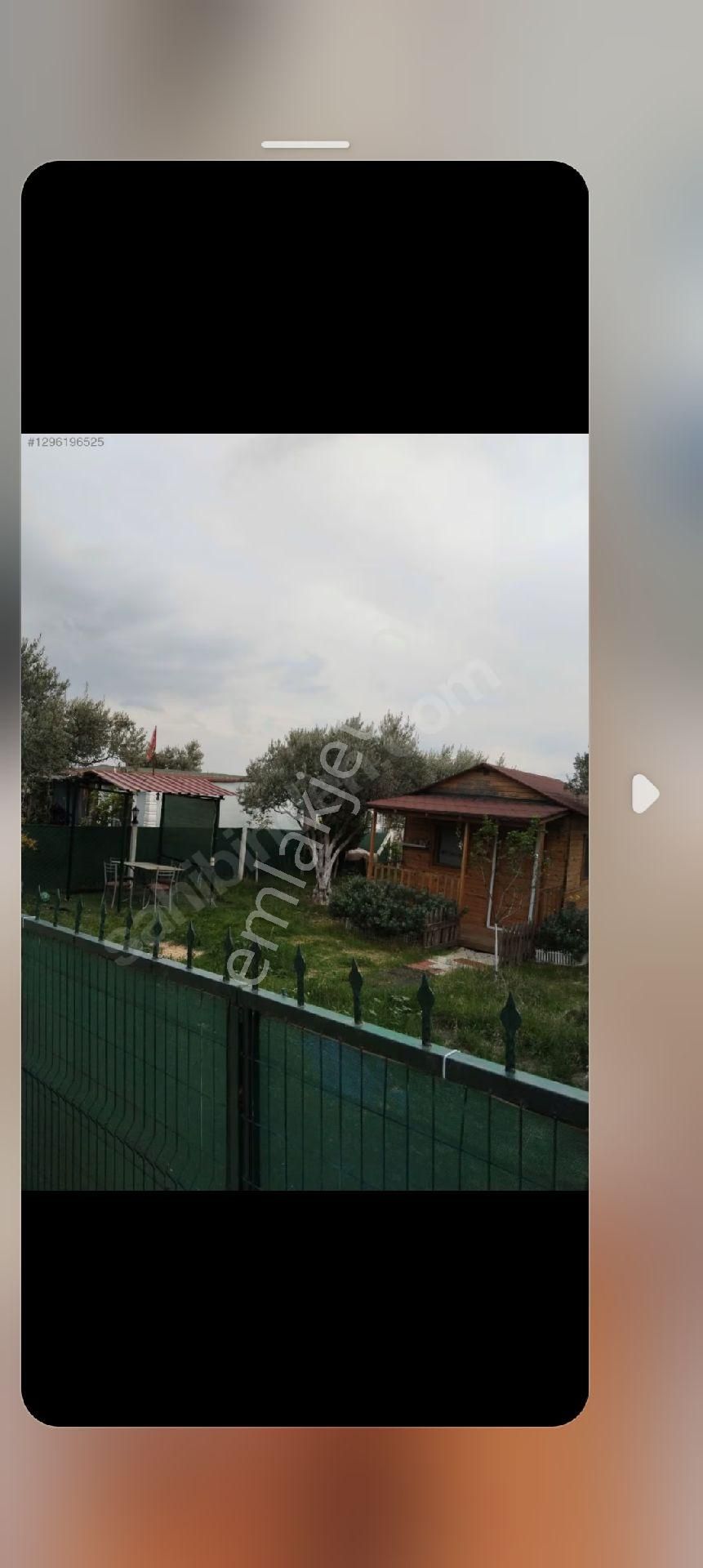 Torbalı Batı Gayrimenkul Den Satılık Zeytinlik Batı Gayrimenkul Den Satılık Hisse Tapulu Tarla - Görsel 3