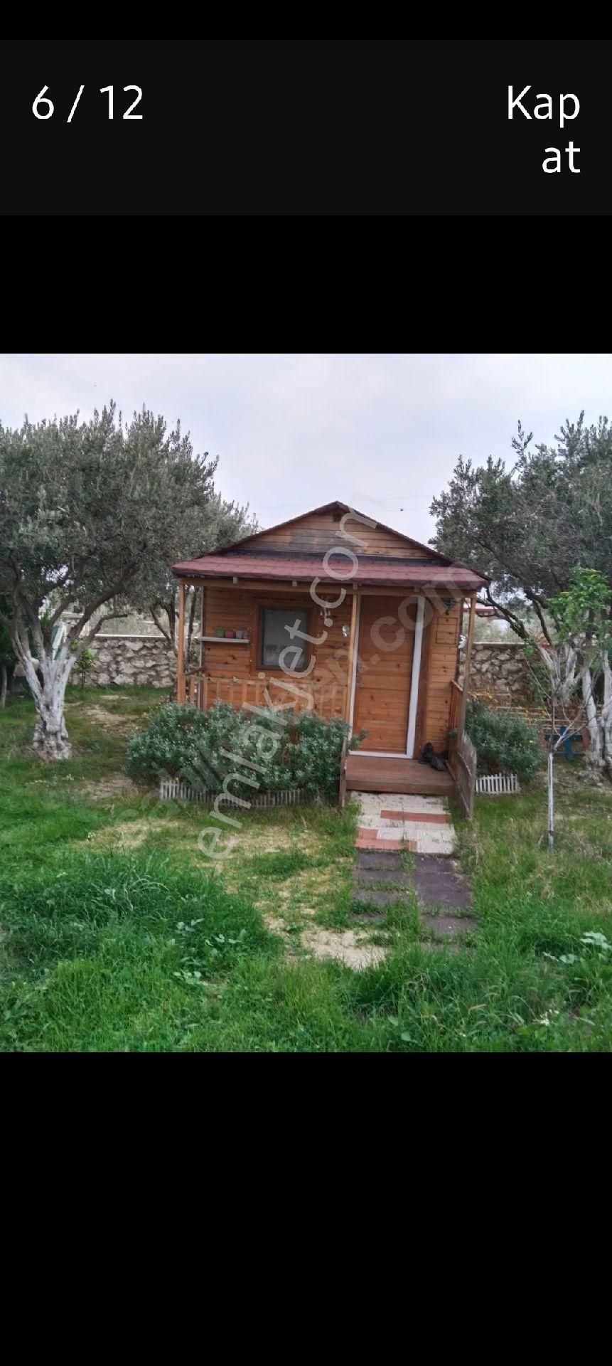 Torbalı Batı Gayrimenkul Den Satılık Zeytinlik Batı Gayrimenkul Den Satılık Hisse Tapulu Tarla