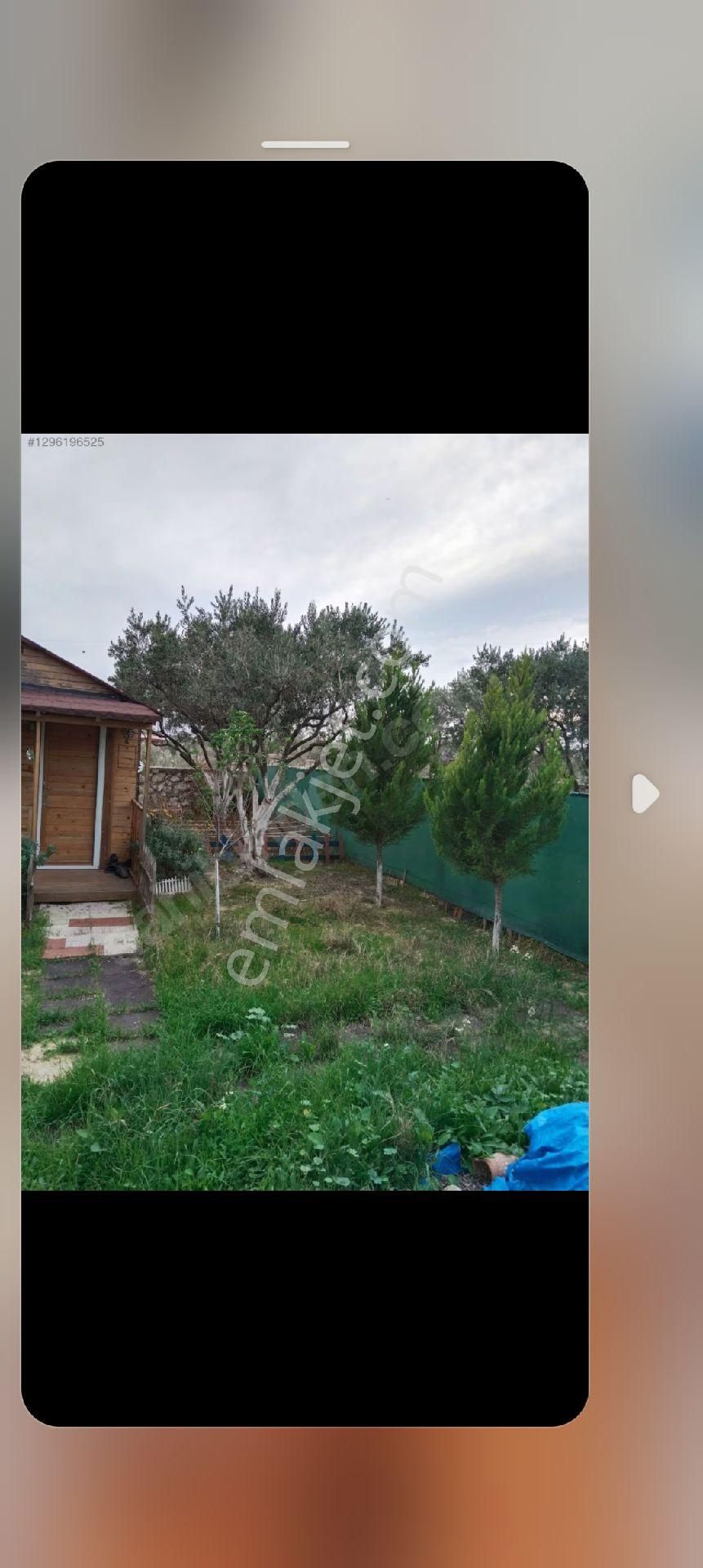 Torbalı Batı Gayrimenkul Den Satılık Zeytinlik Batı Gayrimenkul Den Satılık Hisse Tapulu Tarla - Görsel 4