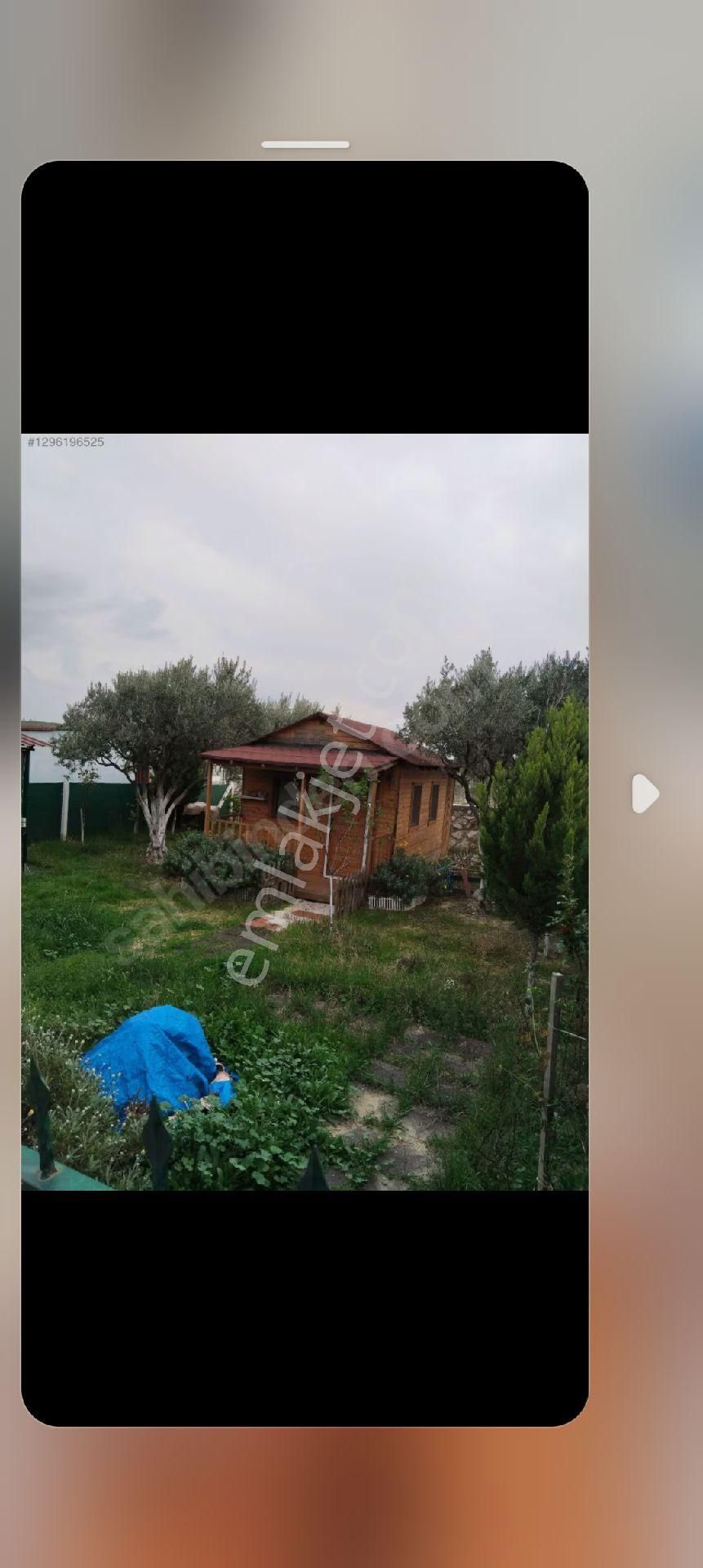 Torbalı Batı Gayrimenkul Den Satılık Zeytinlik Batı Gayrimenkul Den Satılık Hisse Tapulu Tarla - Görsel 2