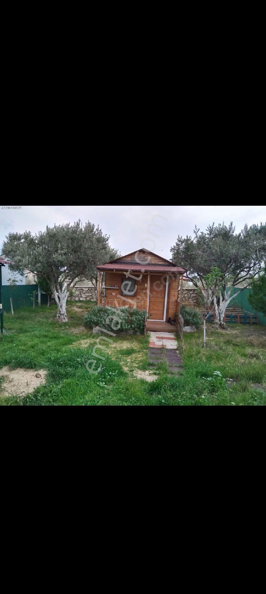 Torbalı Batı Gayrimenkul Den Satılık Zeytinlik Batı Gayrimenkul Den Satılık Hisse Tapulu Tarla - Görsel 6