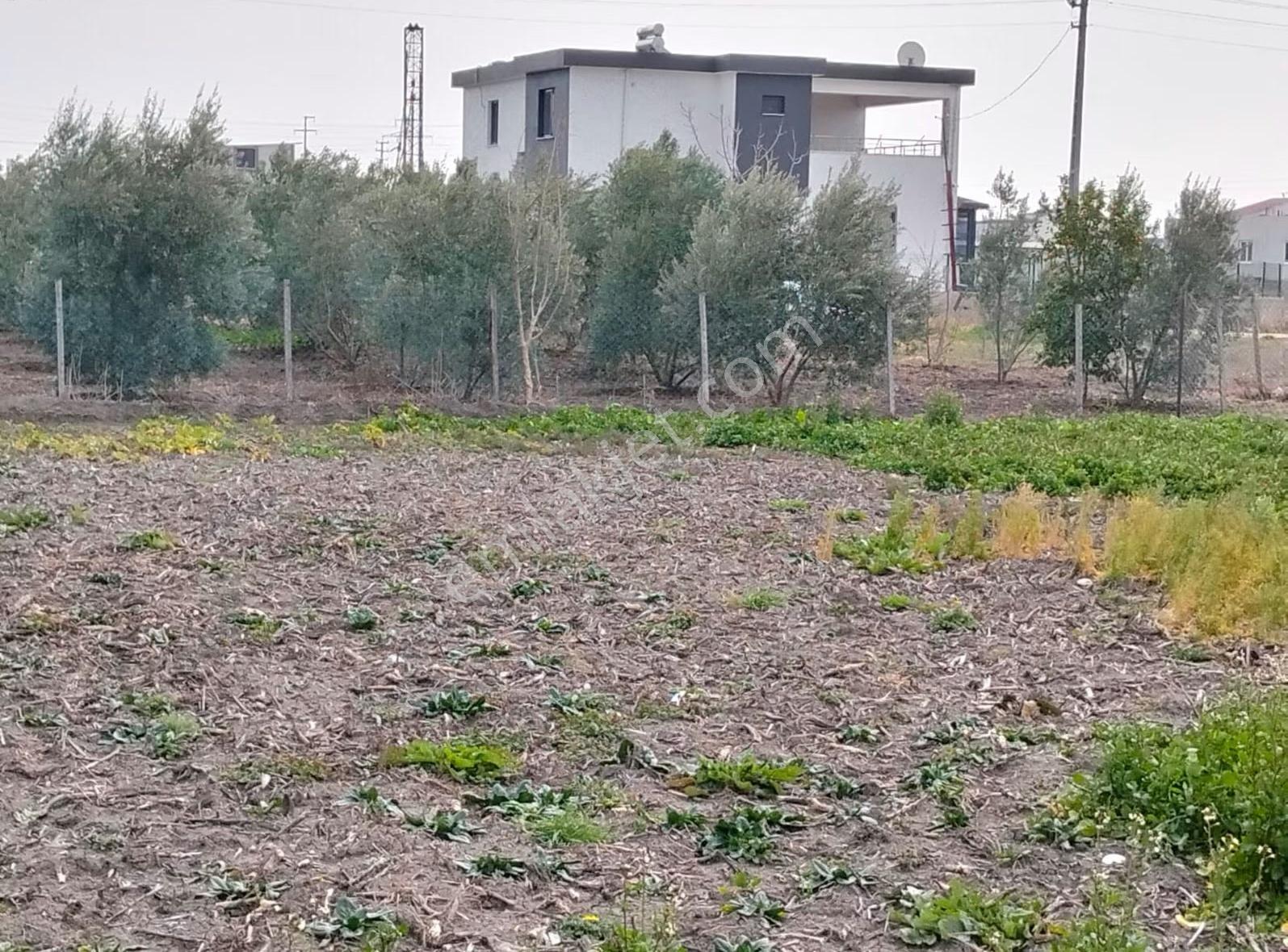Gök Emlaktan Satılık Müstakil Arsa - Görsel 14