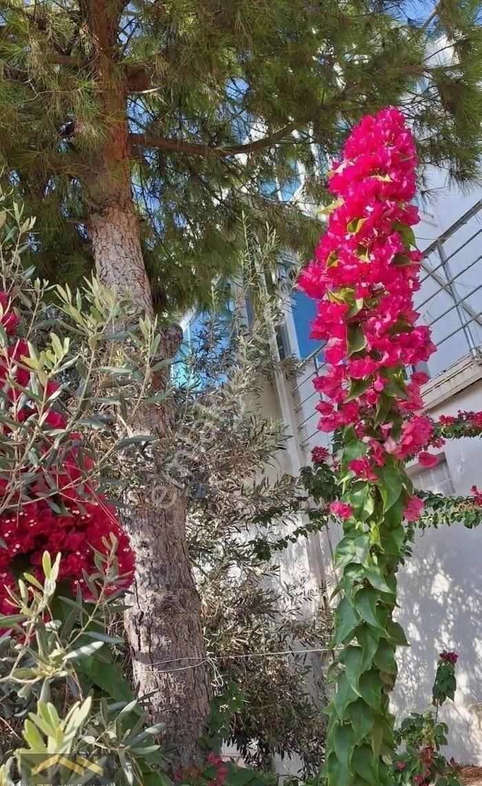 Kuşadası Özboğaziçi Sitesinde 4+1 Tripleks Deniz Manzaralı - Görsel 27