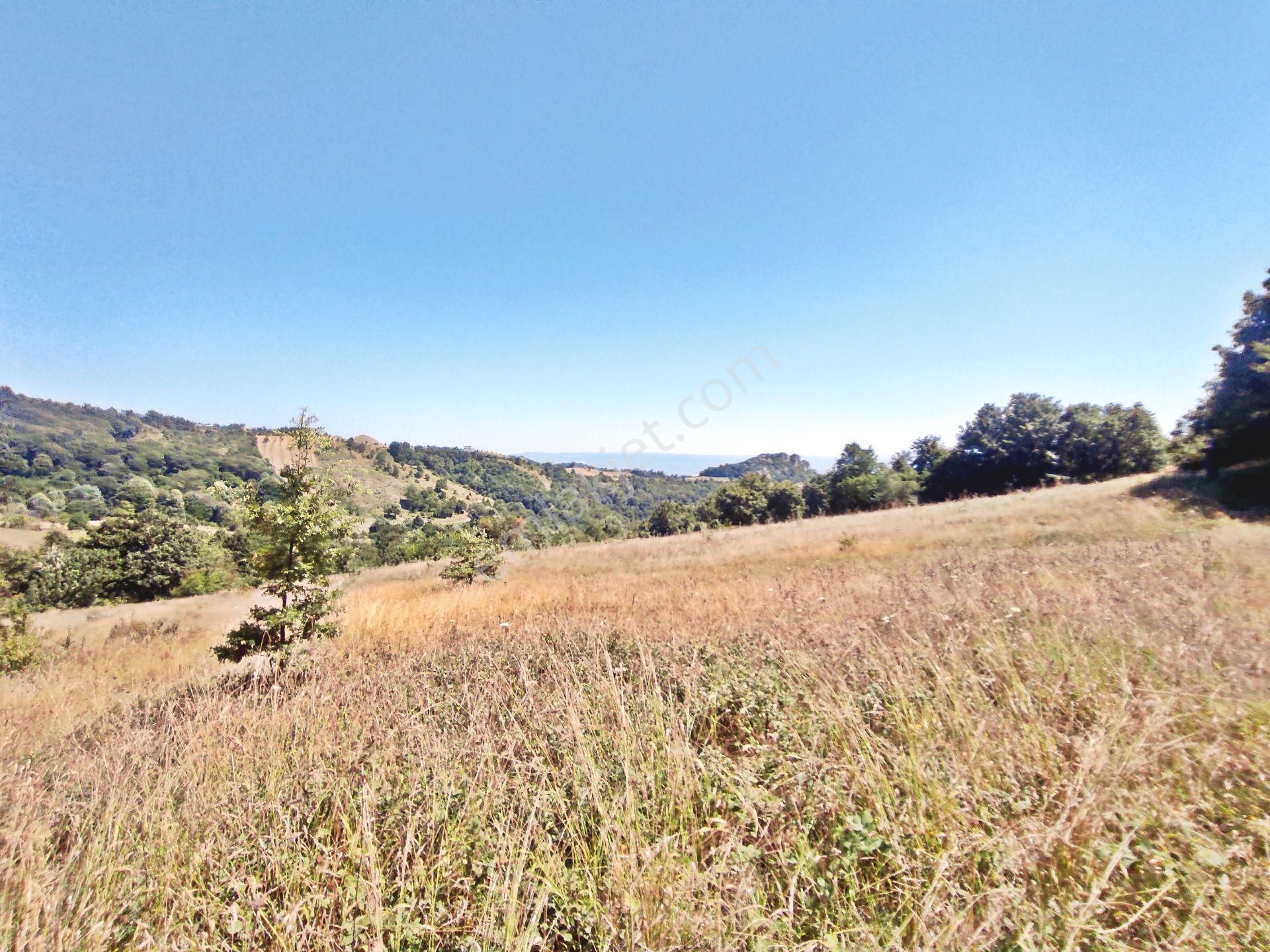 Yenişehir Kirazlı Yayala Da Doğa Manzaralı - 2378 -m2- Tarla - Görsel 14