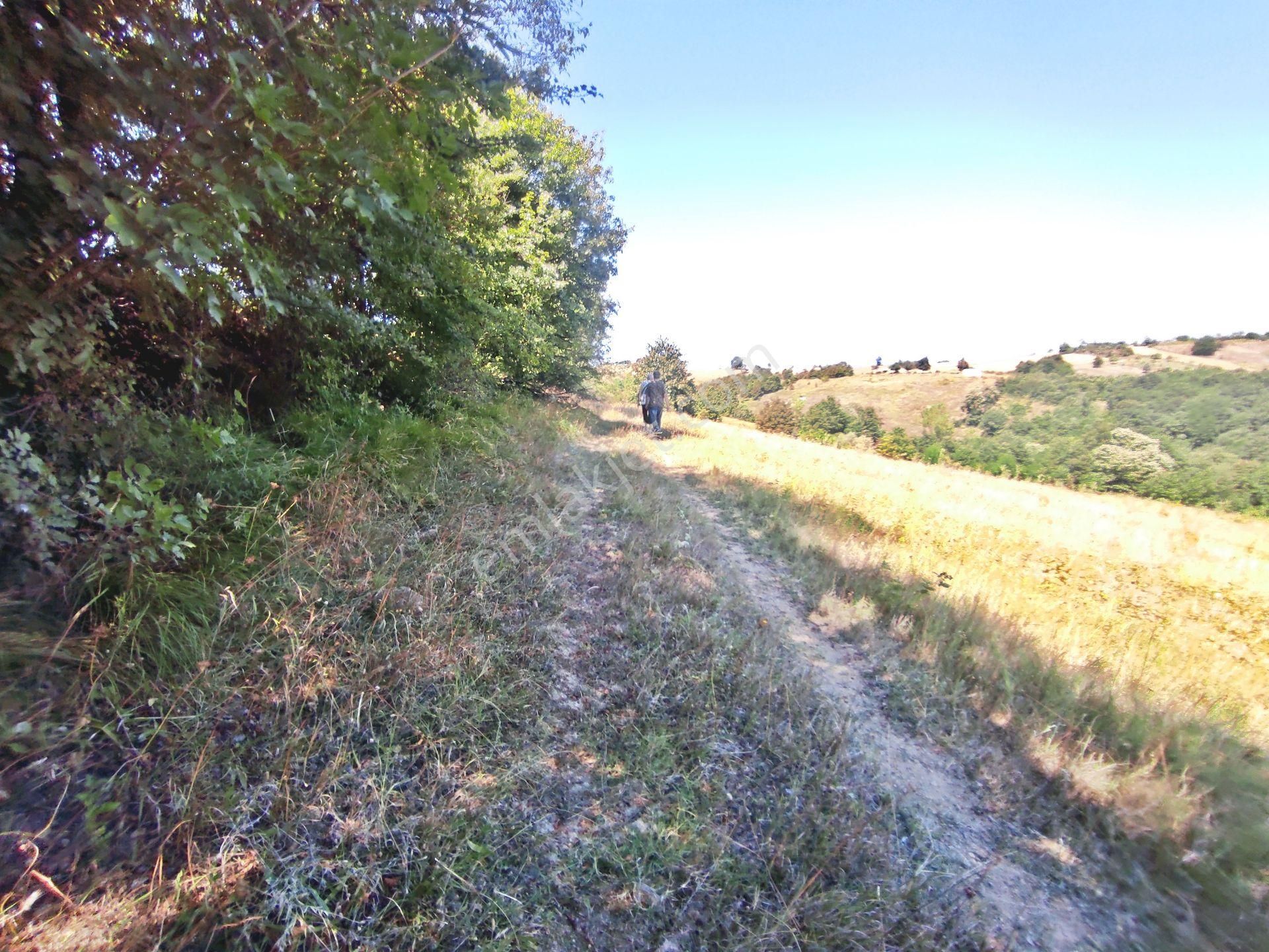 Yenişehir Kirazlı Yayala Da Doğa Manzaralı - 2378 -m2- Tarla - Görsel 20