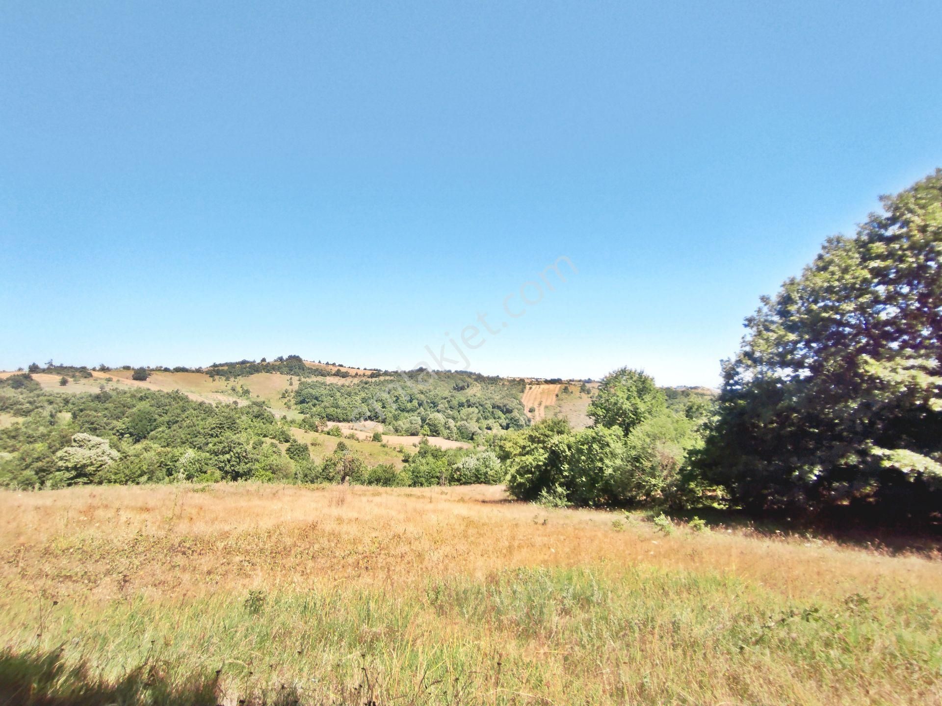 Yenişehir Kirazlı Yayala Da Doğa Manzaralı - 2378 -m2- Tarla - Görsel 19