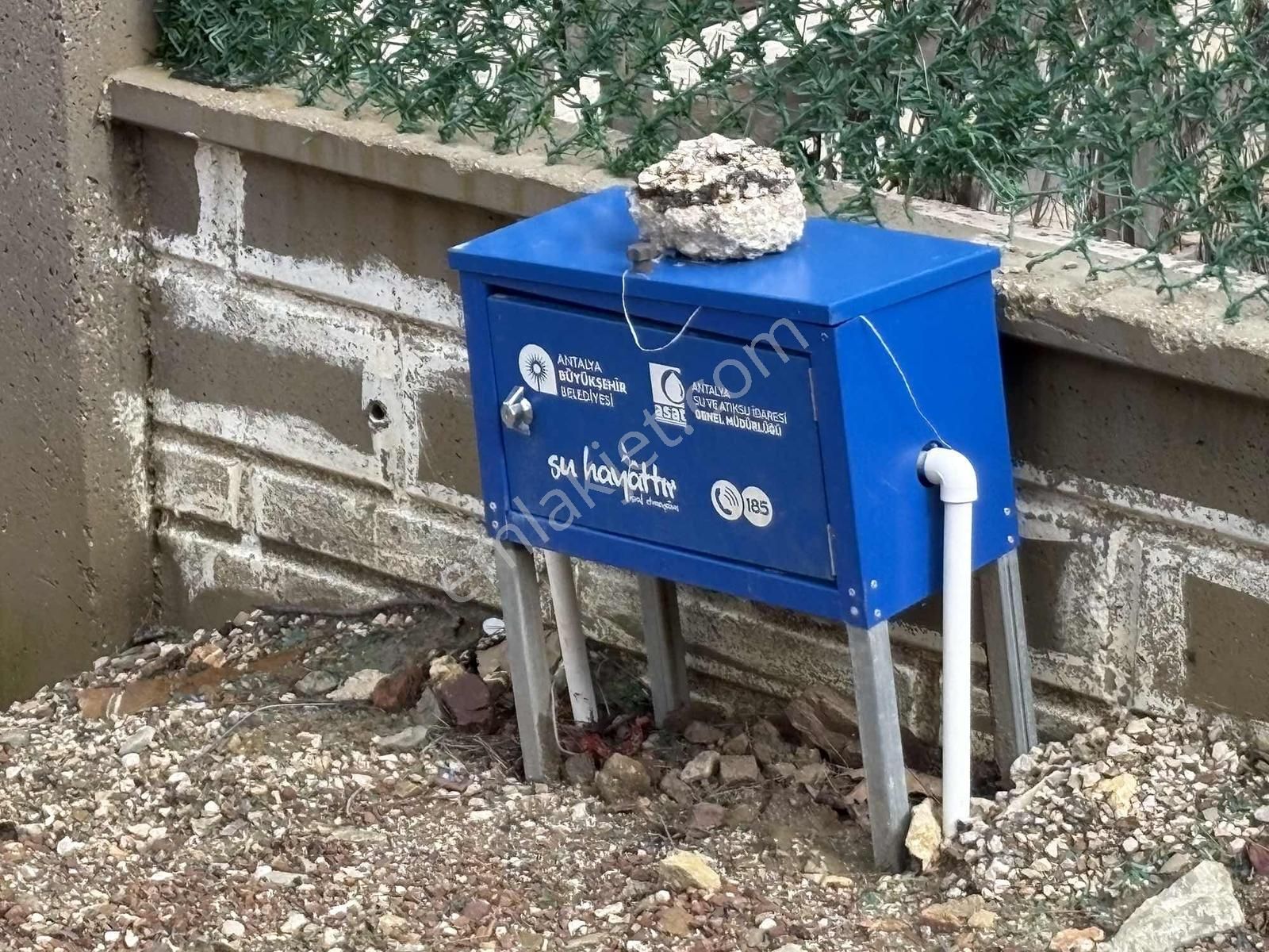 Hisarçandır Ekizce Yaylasında Doğa İle İç İçe Bir Yaşam - Görsel 6