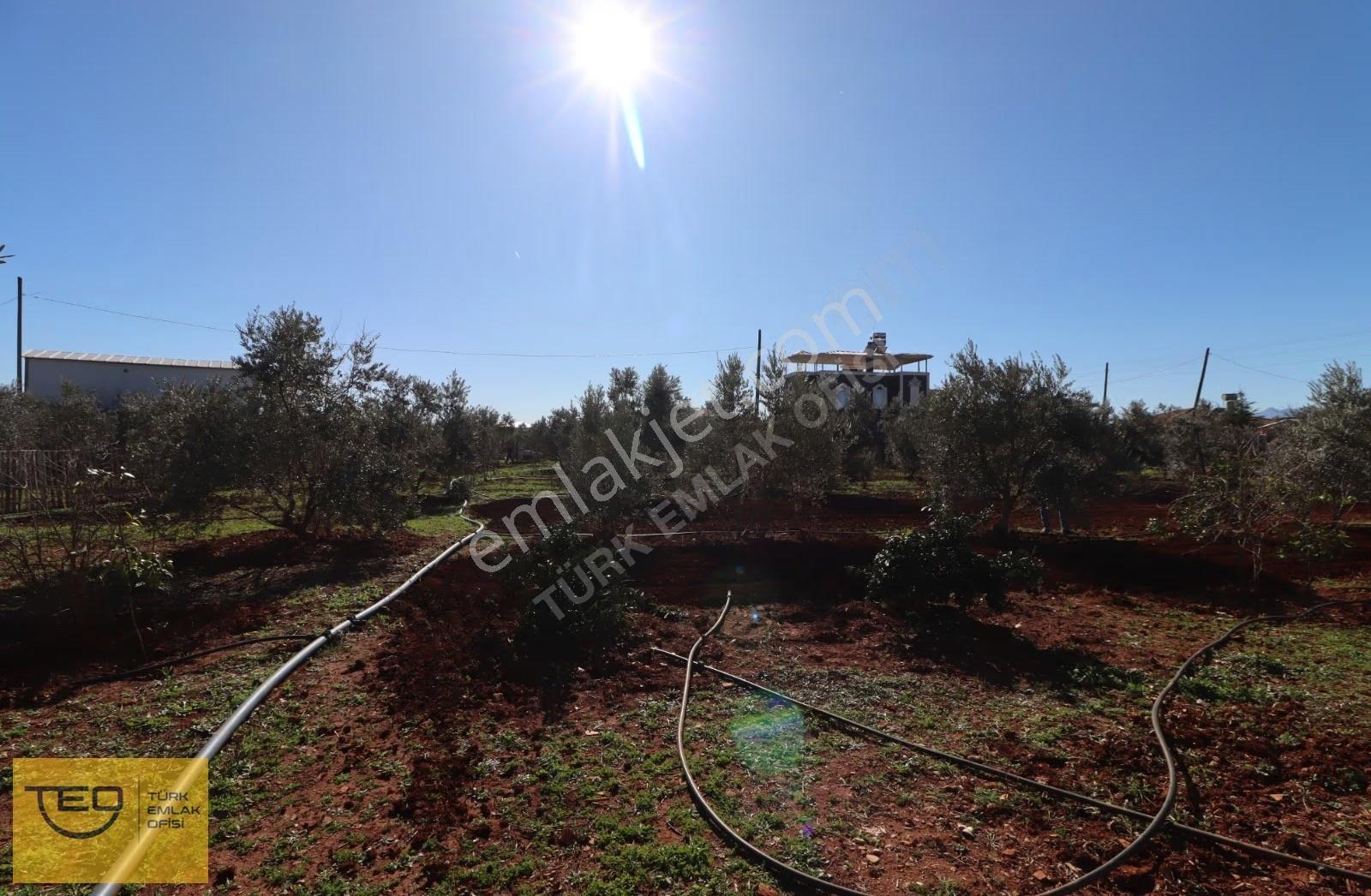Antalya Kepez Odabaşı'nda Satılık Lüks 2 Katlı Ev Ve Arsa - Görsel 8