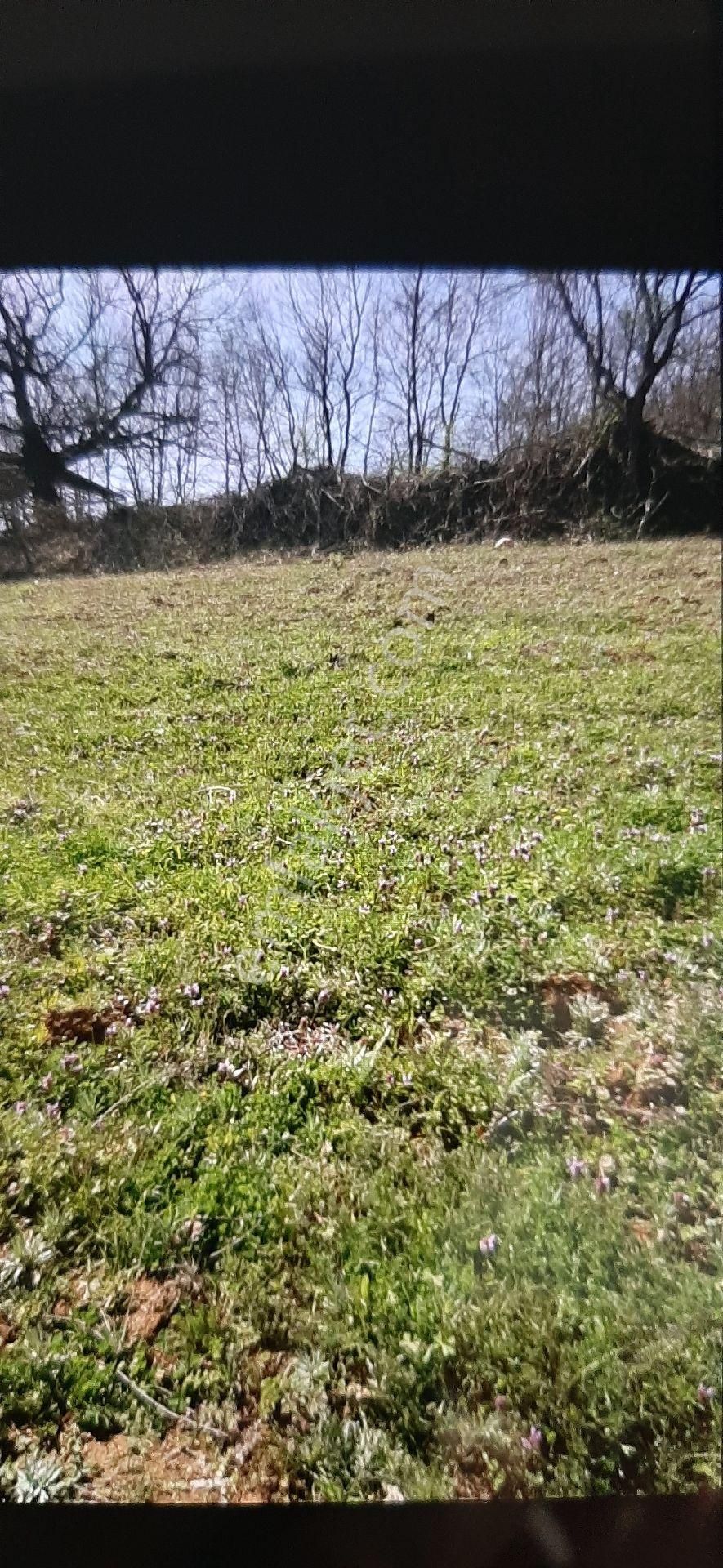 Manzaralı Satılık Hobi Bahçe - Görsel 5