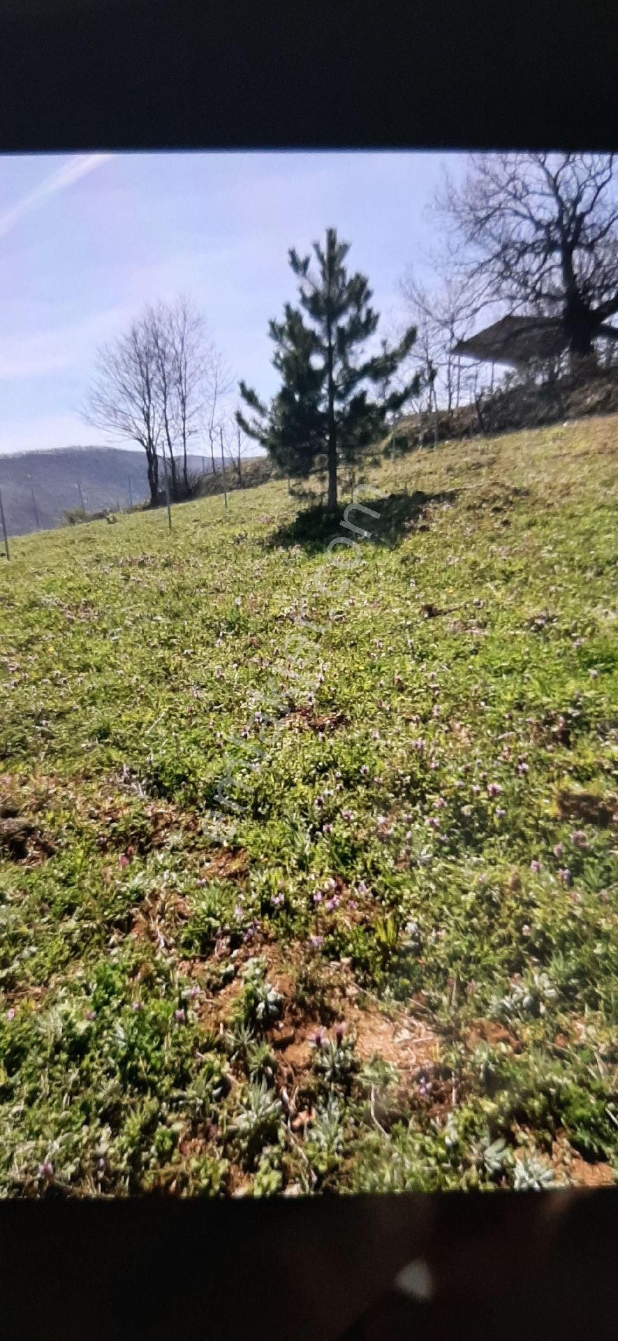 Manzaralı Satılık Hobi Bahçe - Görsel 4