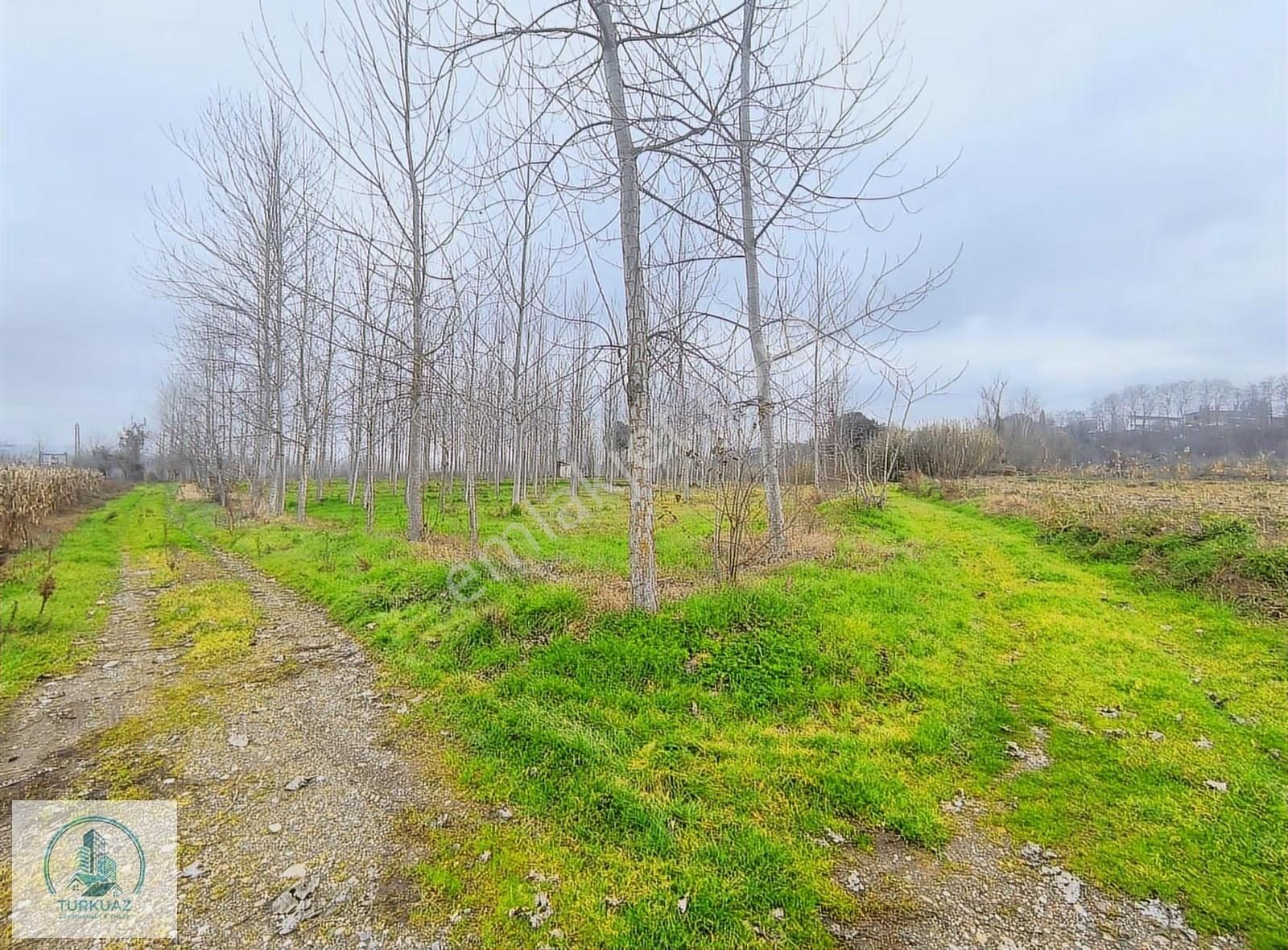 Mustafakemalpaşa'da Kadastro Yoluna Üç Cephe 14600m2 Arsa - Görsel 7