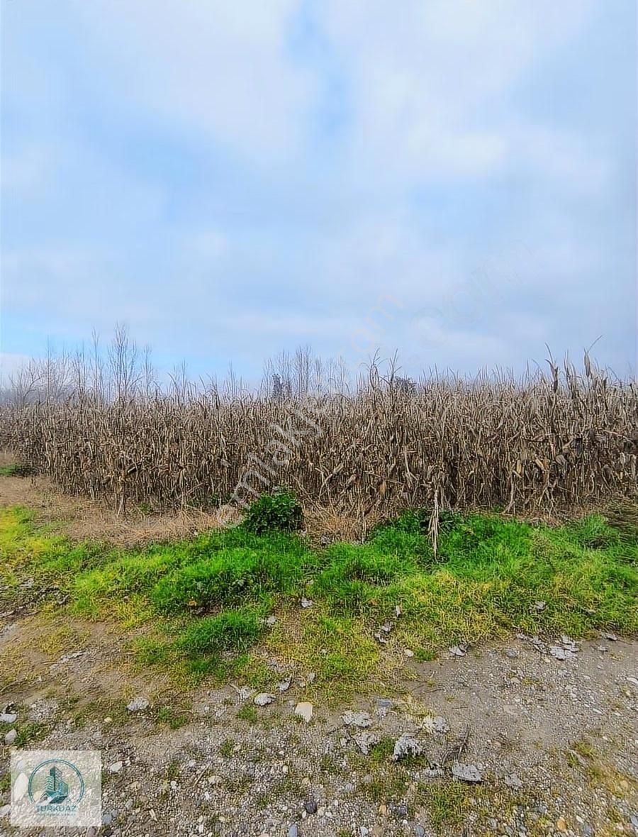 Mustafakemalpaşa'da Kadastro Yoluna Üç Cephe 14600m2 Arsa - Görsel 3