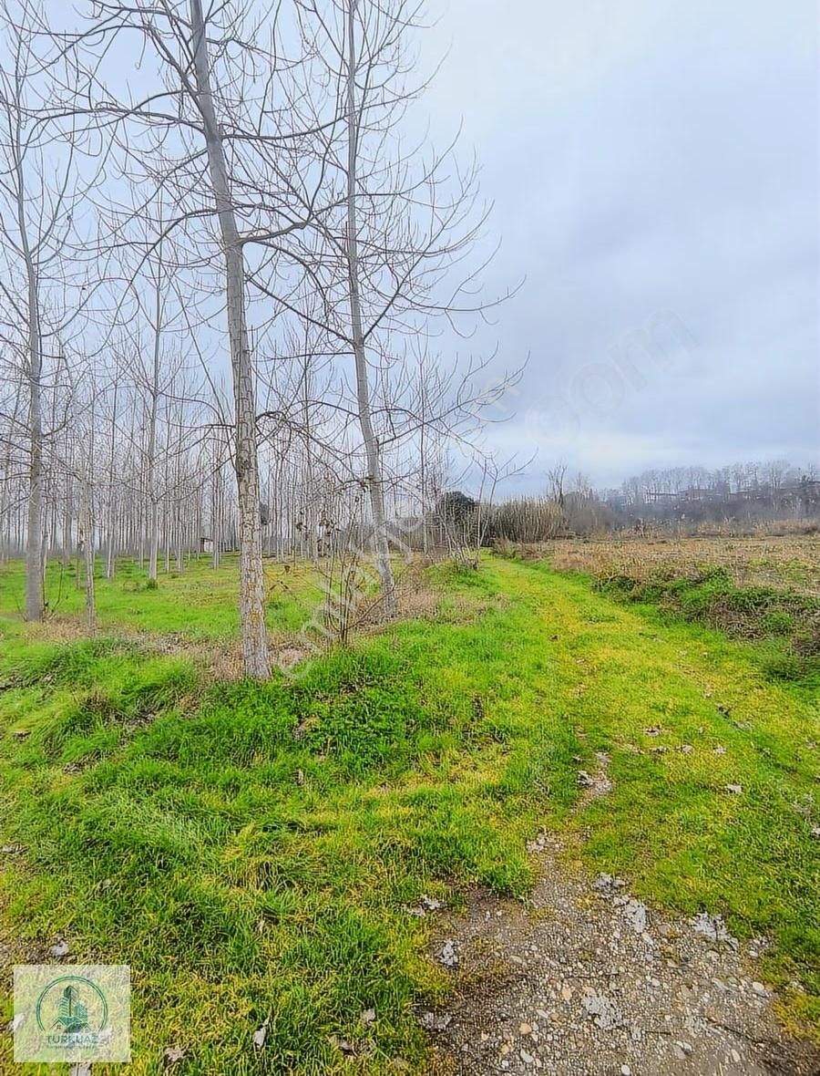 Mustafakemalpaşa'da Kadastro Yoluna Üç Cephe 14600m2 Arsa - Görsel 4