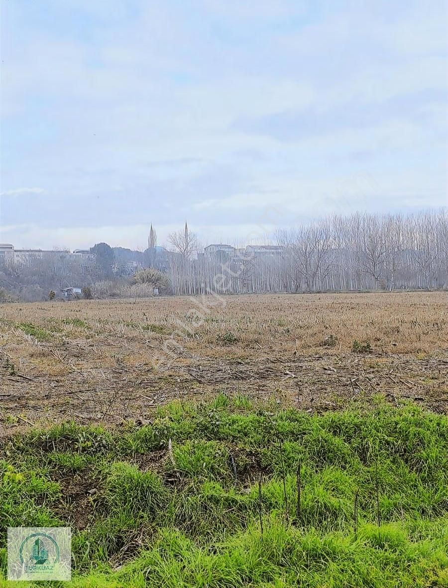 Mustafakemalpaşa'da Kadastro Yoluna Üç Cephe 14600m2 Arsa - Görsel 11