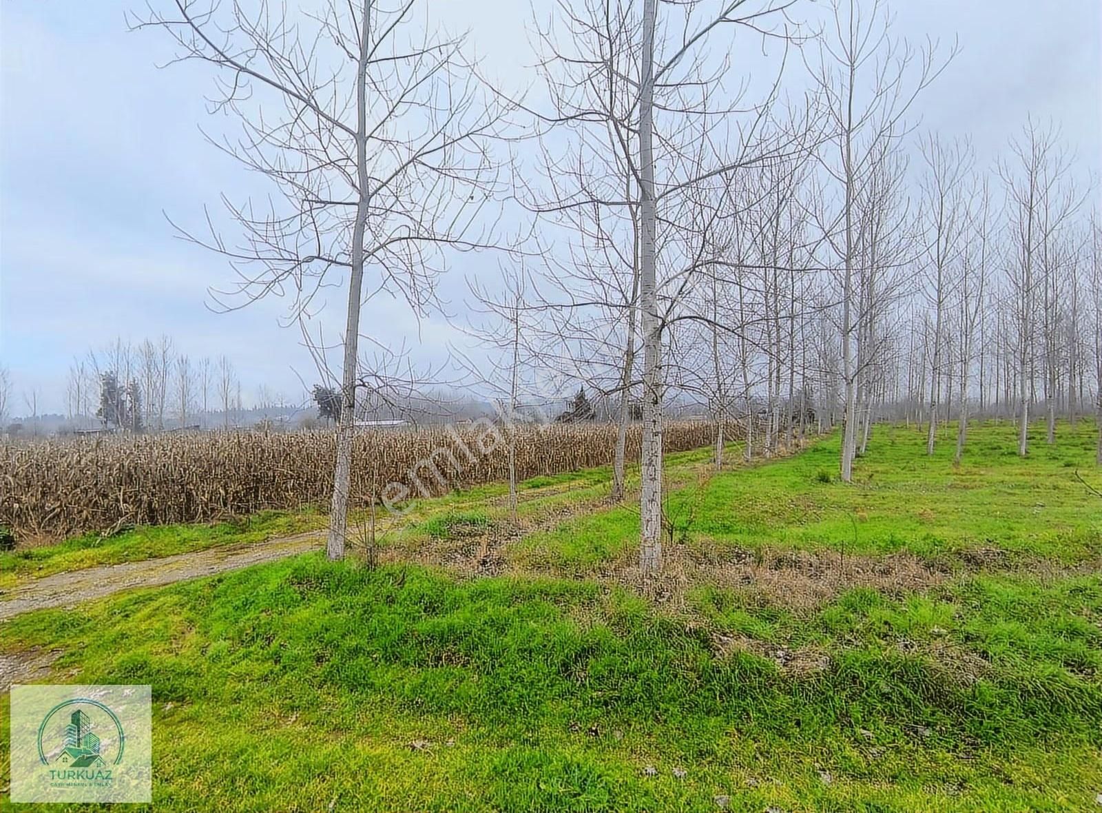 Mustafakemalpaşa'da Kadastro Yoluna Üç Cephe 14600m2 Arsa - Görsel 9