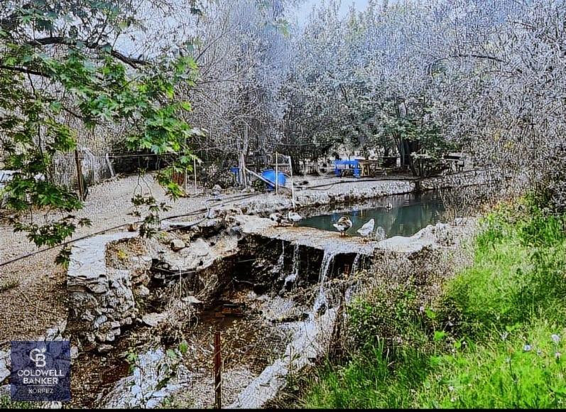 Adatepe Mıhlı Şelale Yolu Dere Ve Şelaleli Zeytinlik 11.738 M2 - Görsel 9