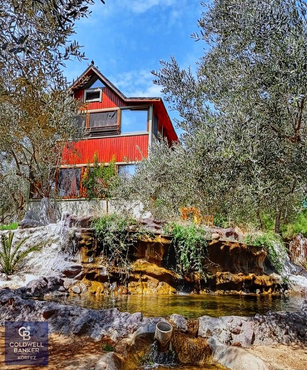 Adatepe Mıhlı Şelale Yolu Dere Ve Şelaleli Zeytinlik 11.738 M2 - Görsel 4