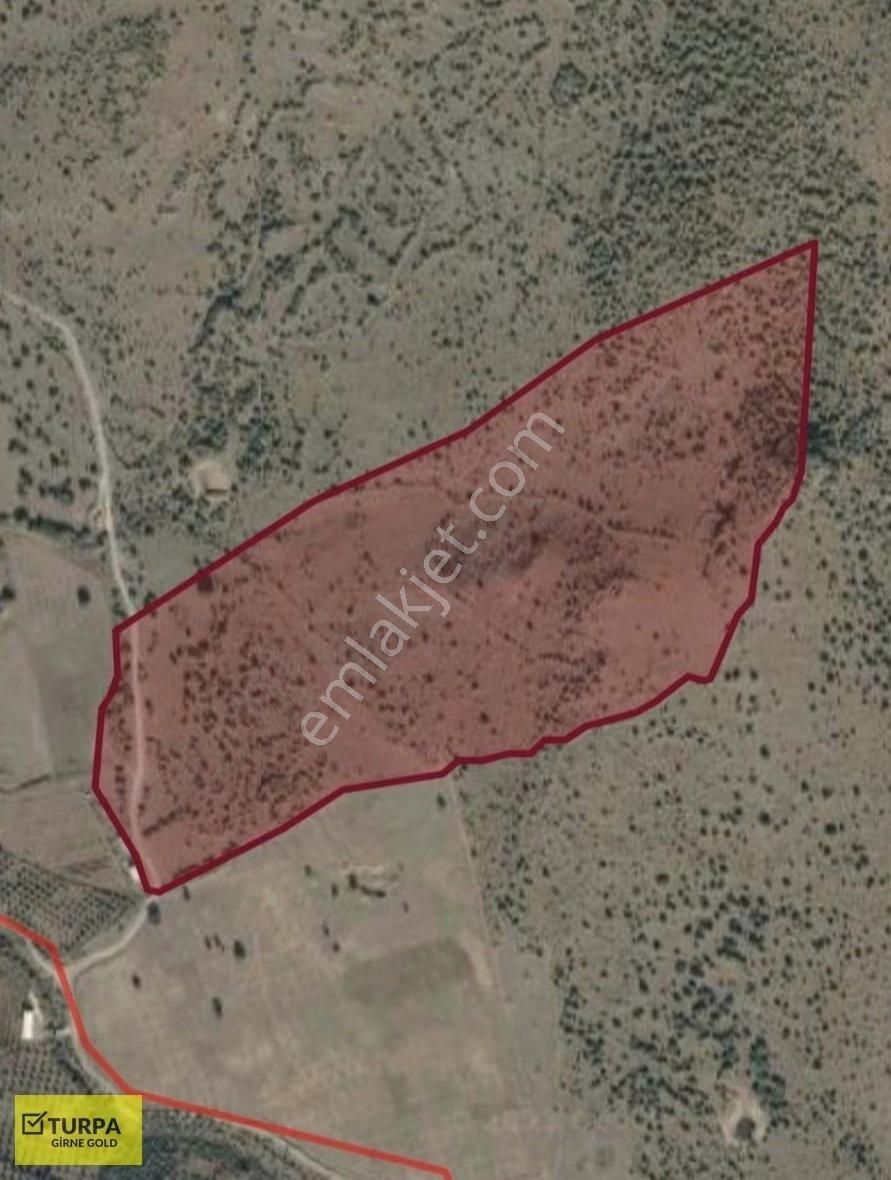 Dikili Uzunburun'da Toki'ye 1 Km Mesafede Satılık Arazi - Görsel 7