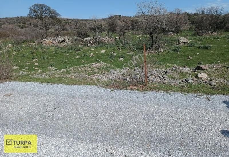 Dikili Uzunburun'da Toki'ye 1 Km Mesafede Satılık Arazi - Görsel 3