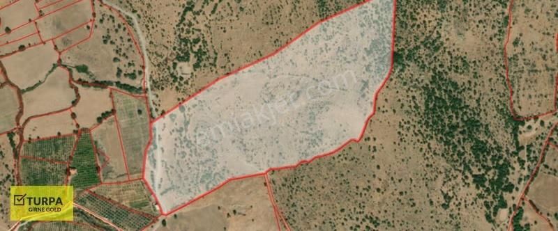 Dikili Uzunburun'da Toki'ye 1 Km Mesafede Satılık Arazi - Görsel 10