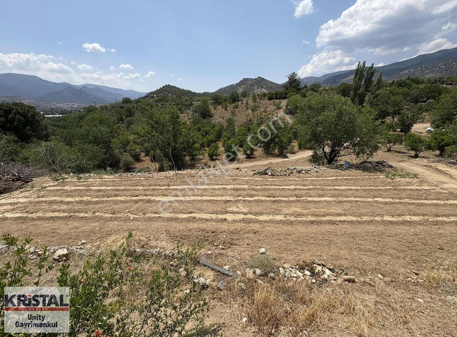 Mihalgazi'de 13 Dönüm Zeytin Bahçesi Ve Bağ Evi