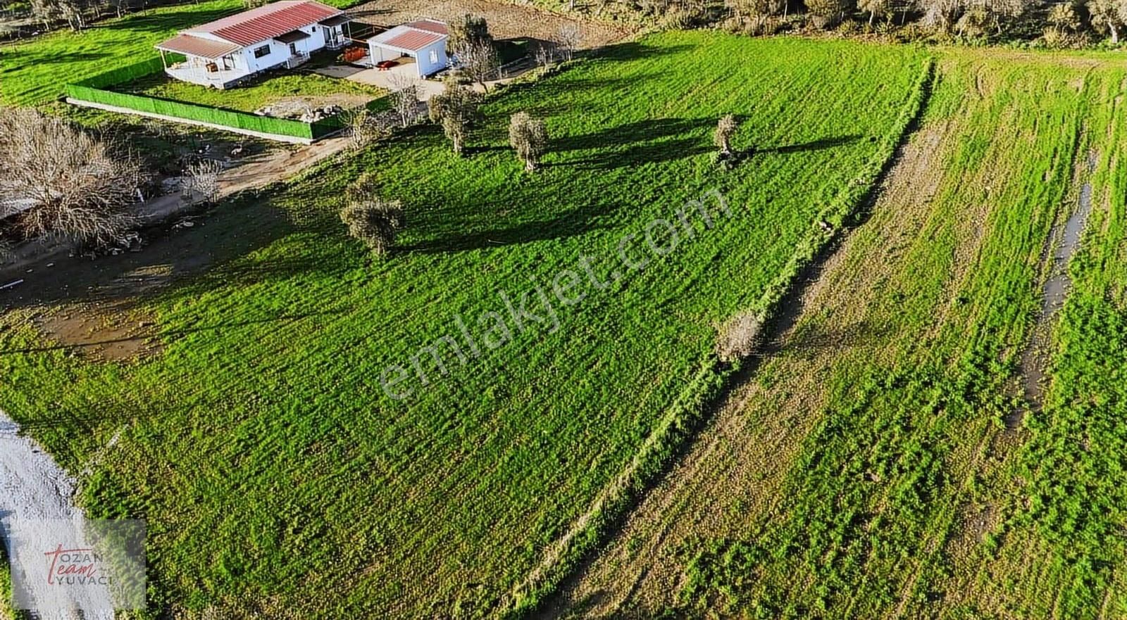 Bodrum Mumcular Bahçeyakası Satılık Tarla - Görsel 7