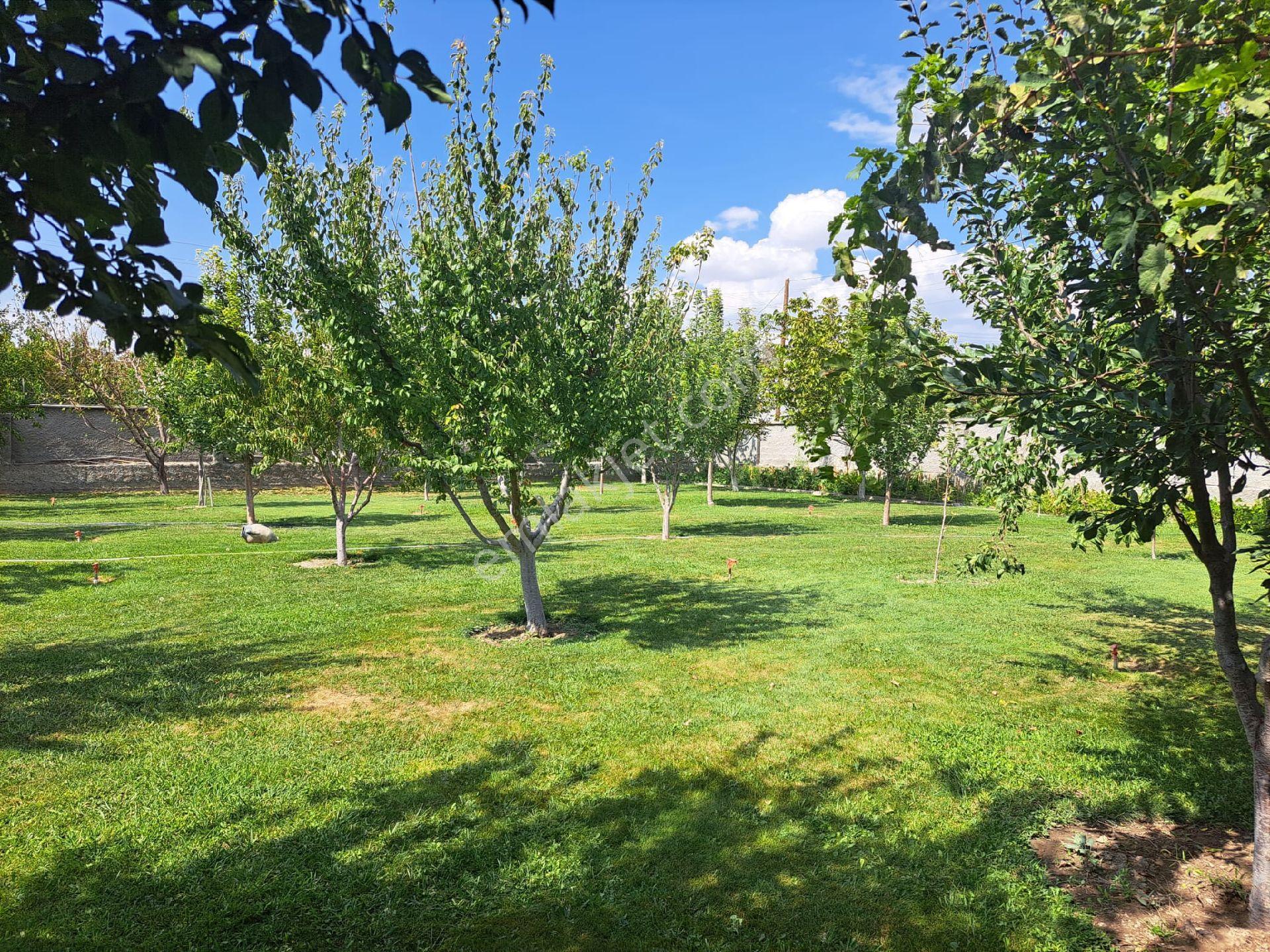 Satılık Vılla Niğde Bor Bentkavak Mekinde 1264 M² Arsa İçerisinde - Görsel 2